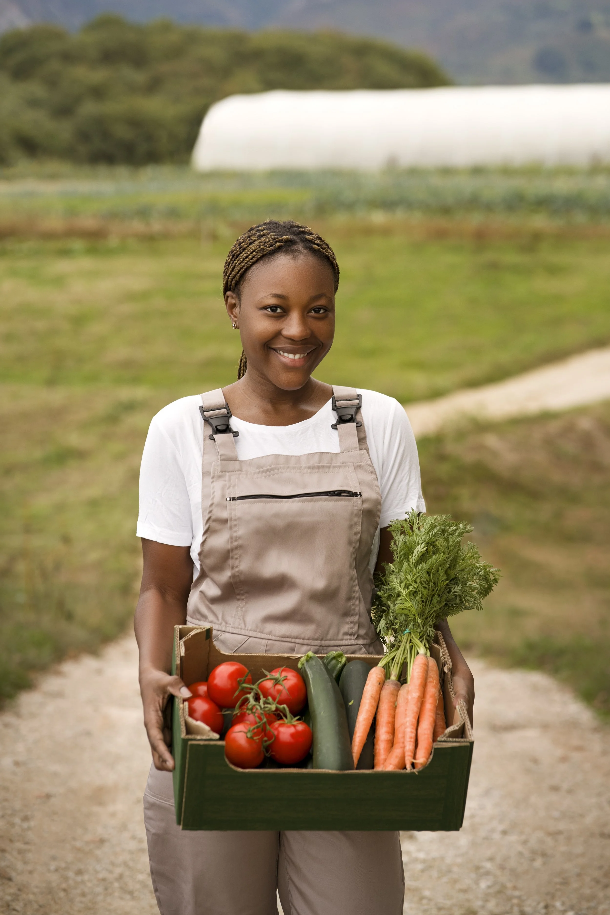Smiling person holding a box of fresh vegetables including tomatoes, cucumbers, and carrots, outdoors with a farm setting in the background.