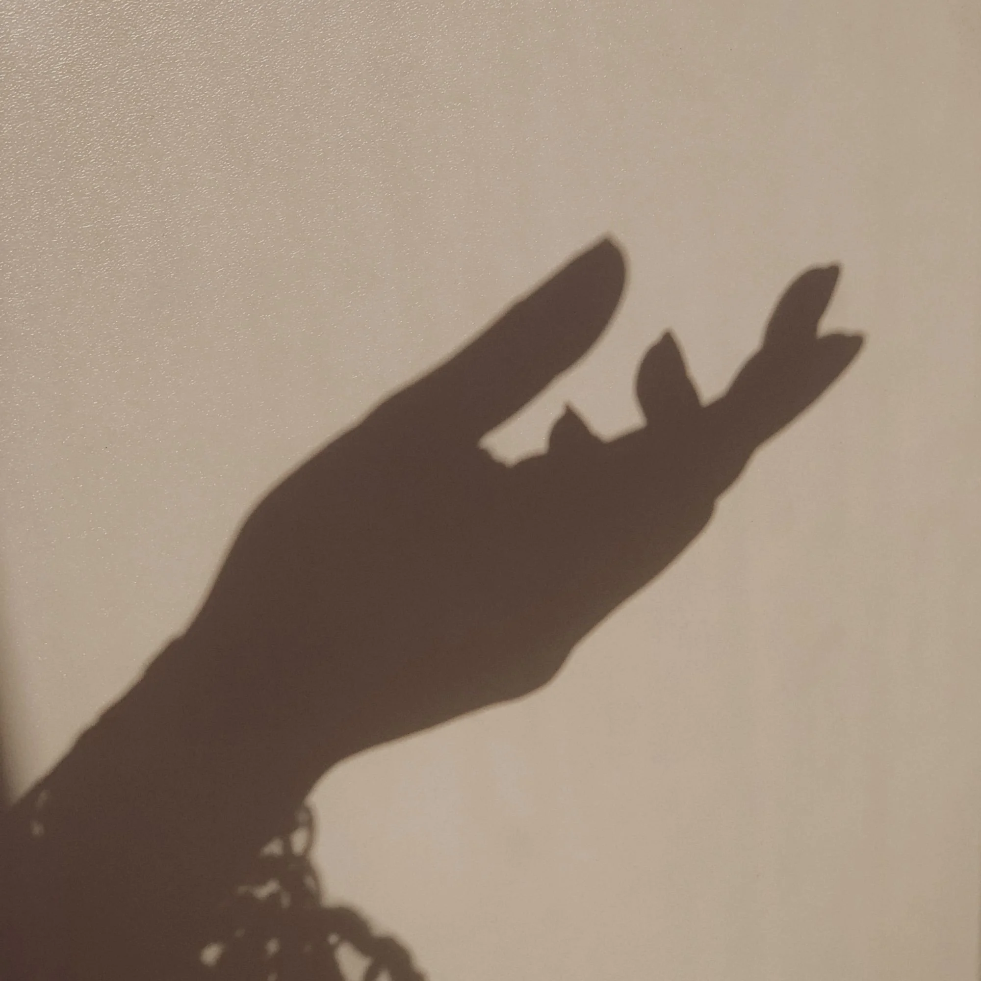 A shadow of an outstretched hand with fingers slightly spread is cast on a smooth, light-colored wall. The tone is calm and introspective.