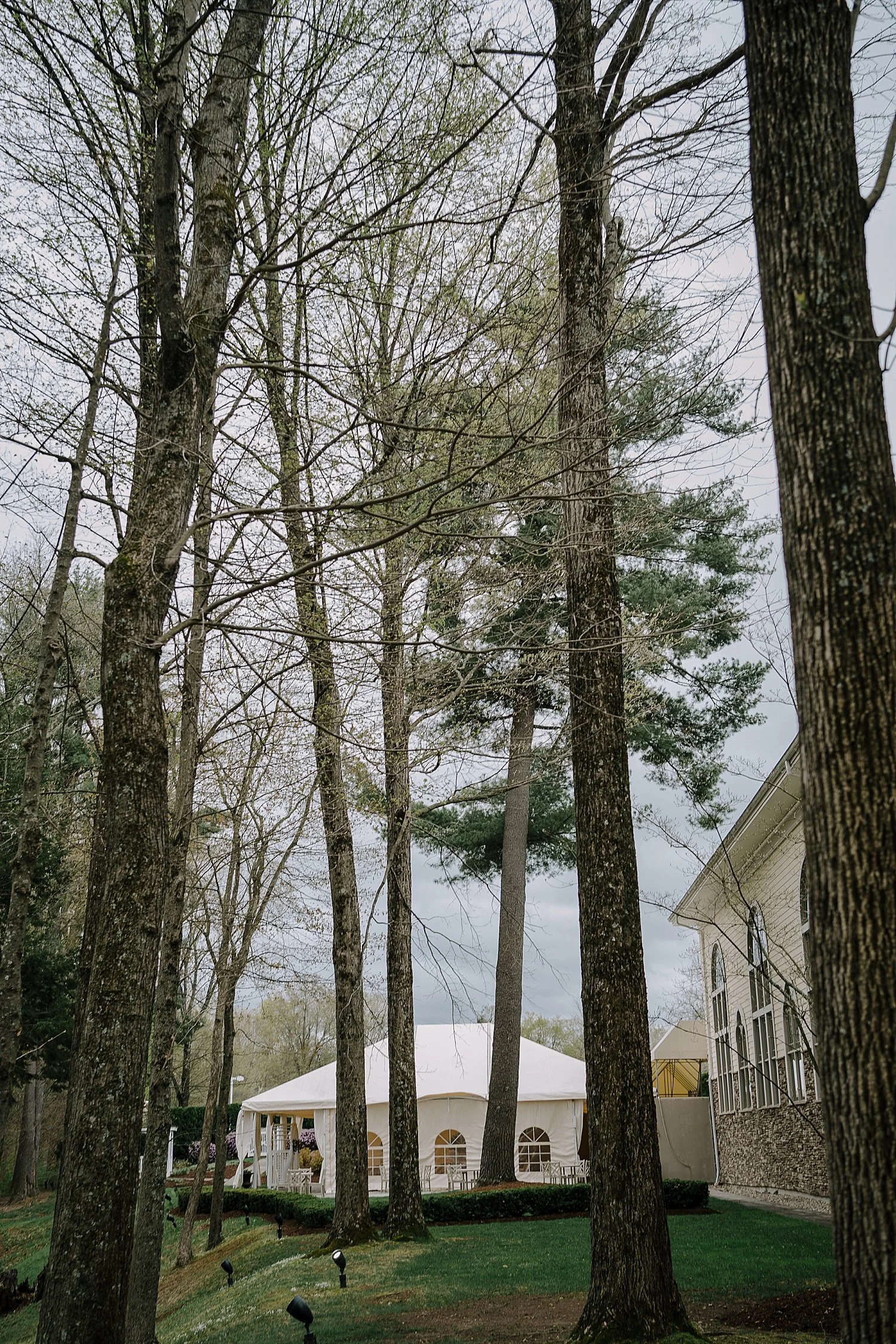 DH_0010.jpg