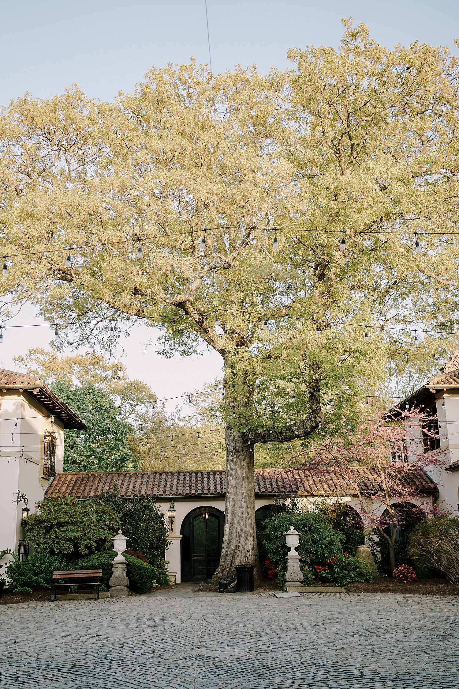 K&R_p0018.JPG