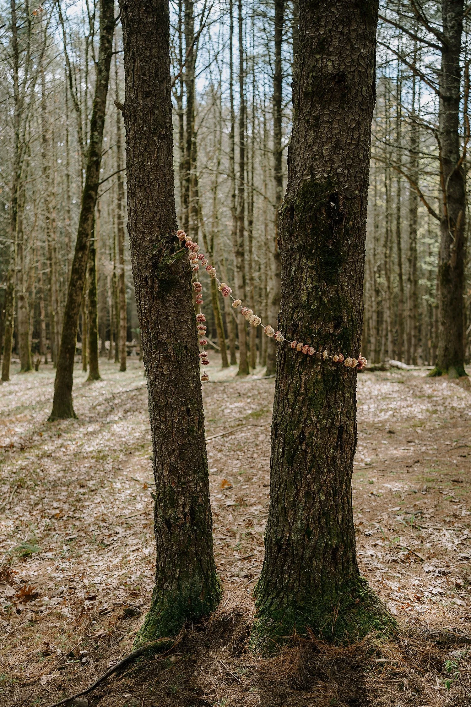 V&P_s005.JPG
