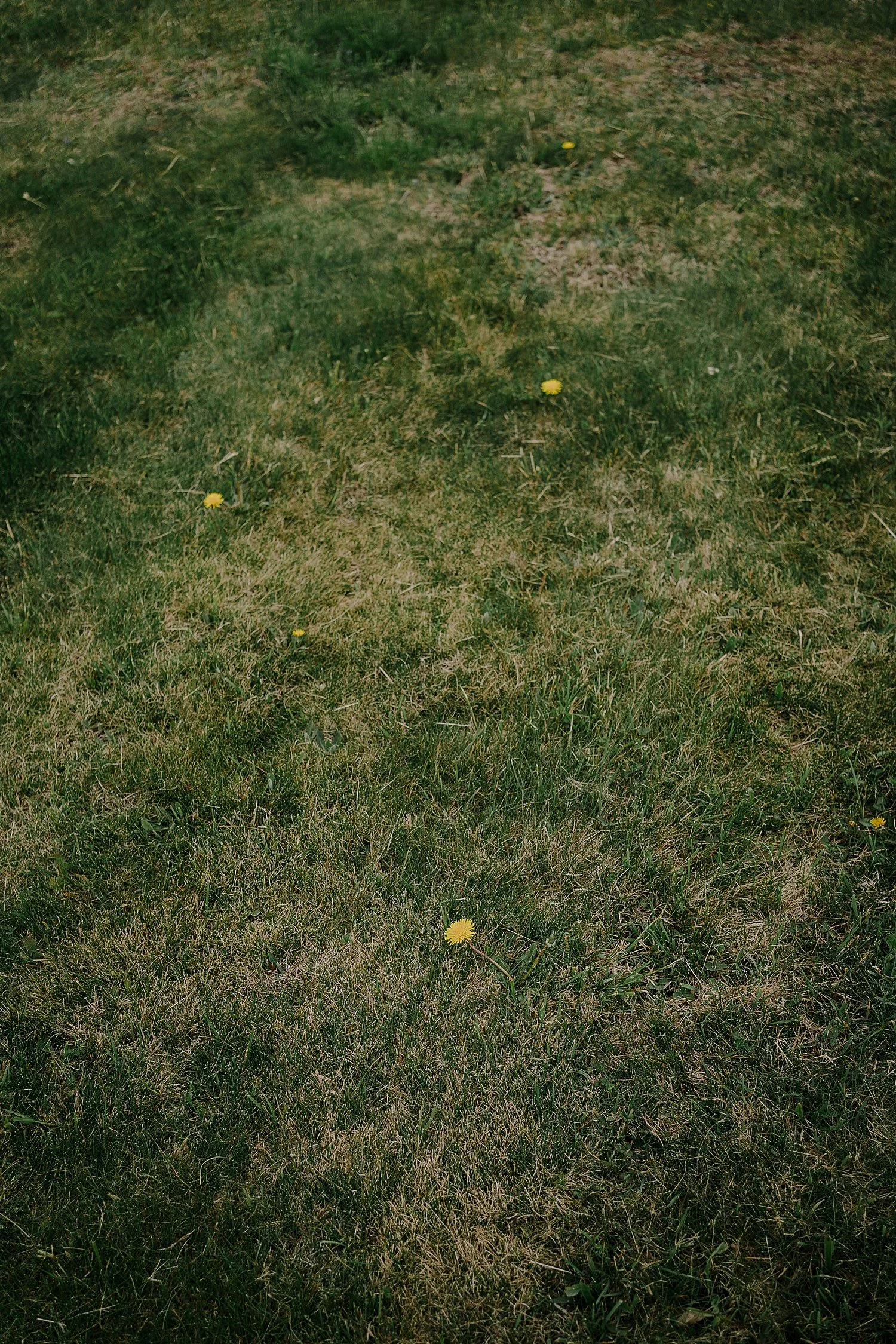 V&P_s011.JPG