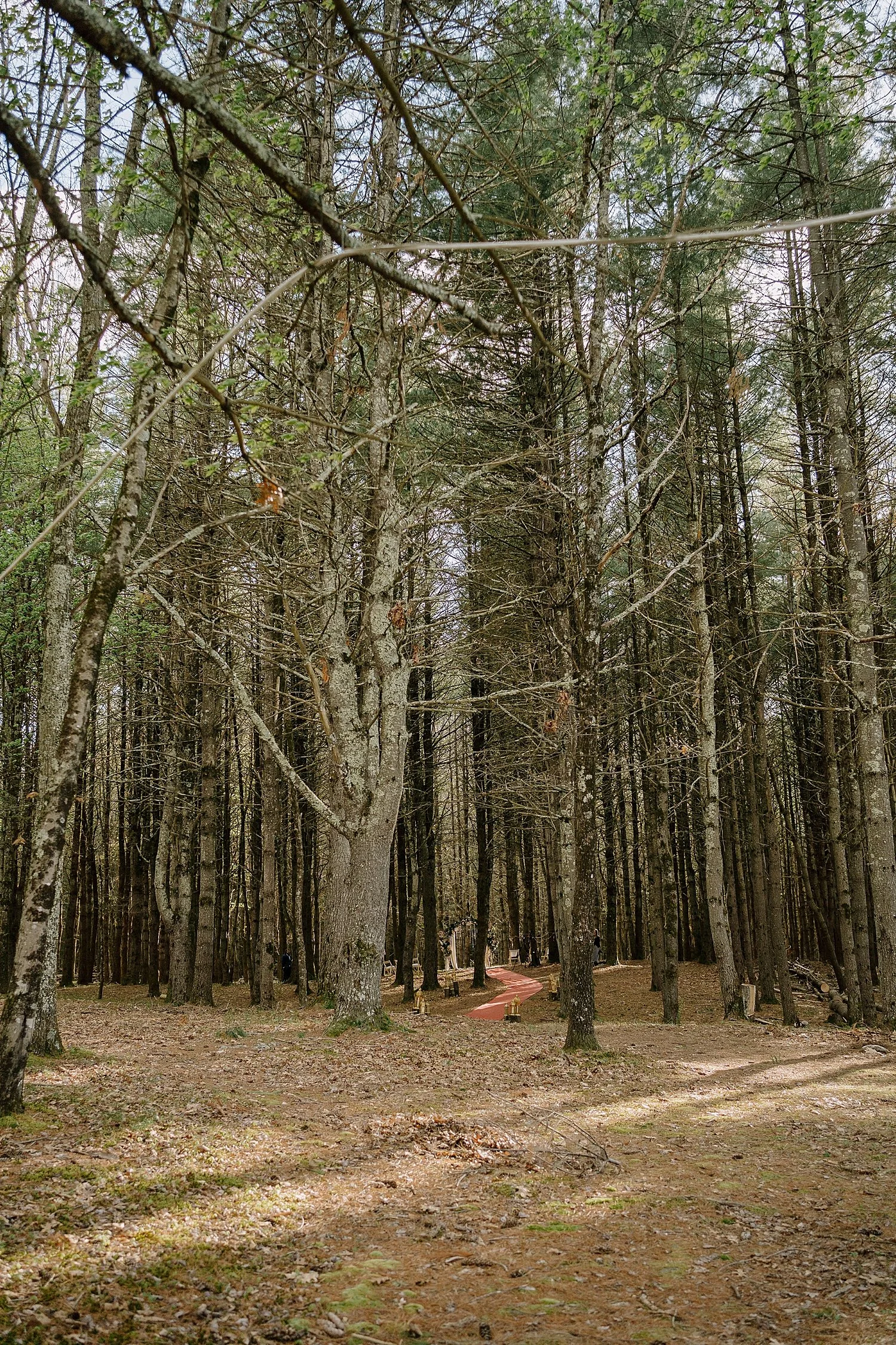 V&P_s016.JPG