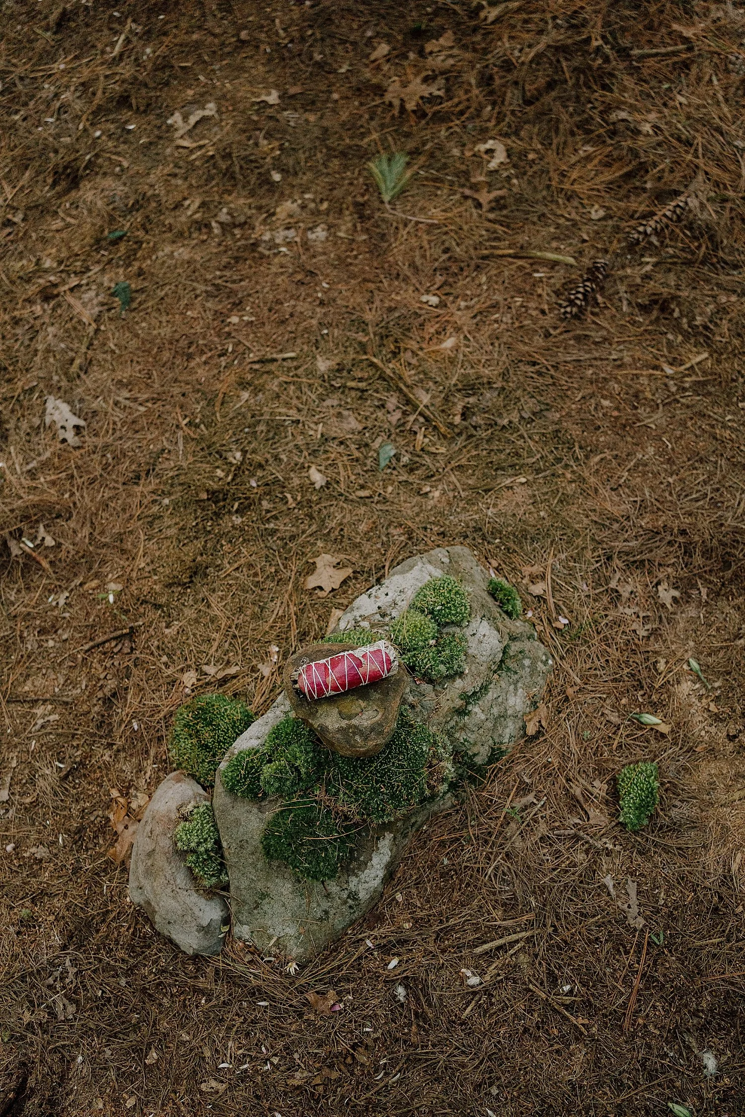 V&P_s017.JPG