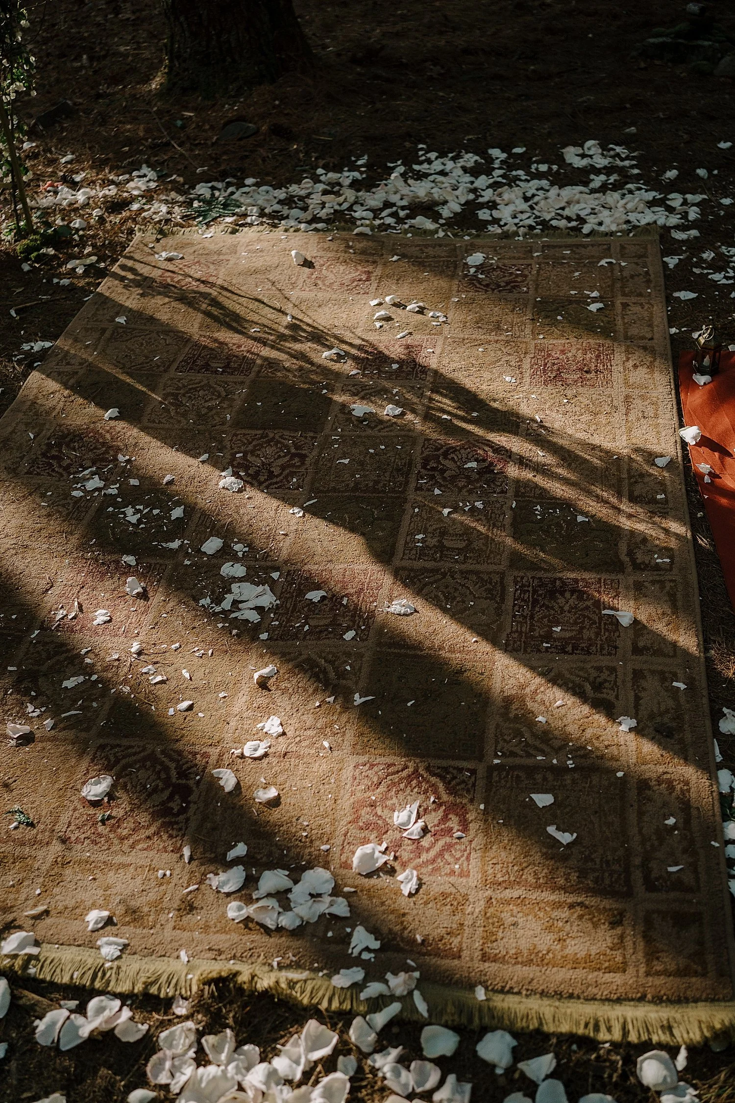 V&P_s018.JPG