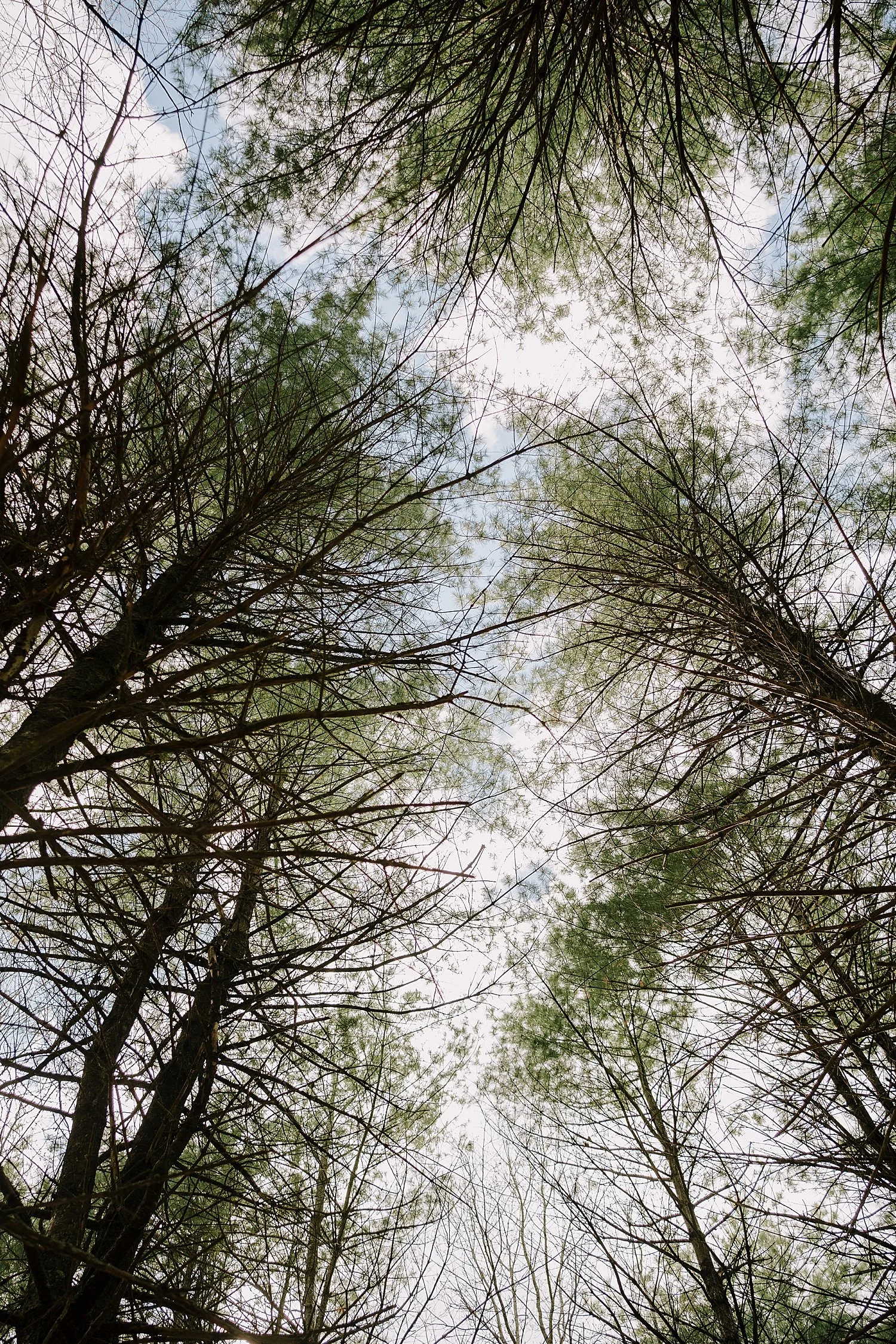 V&P_s029.JPG