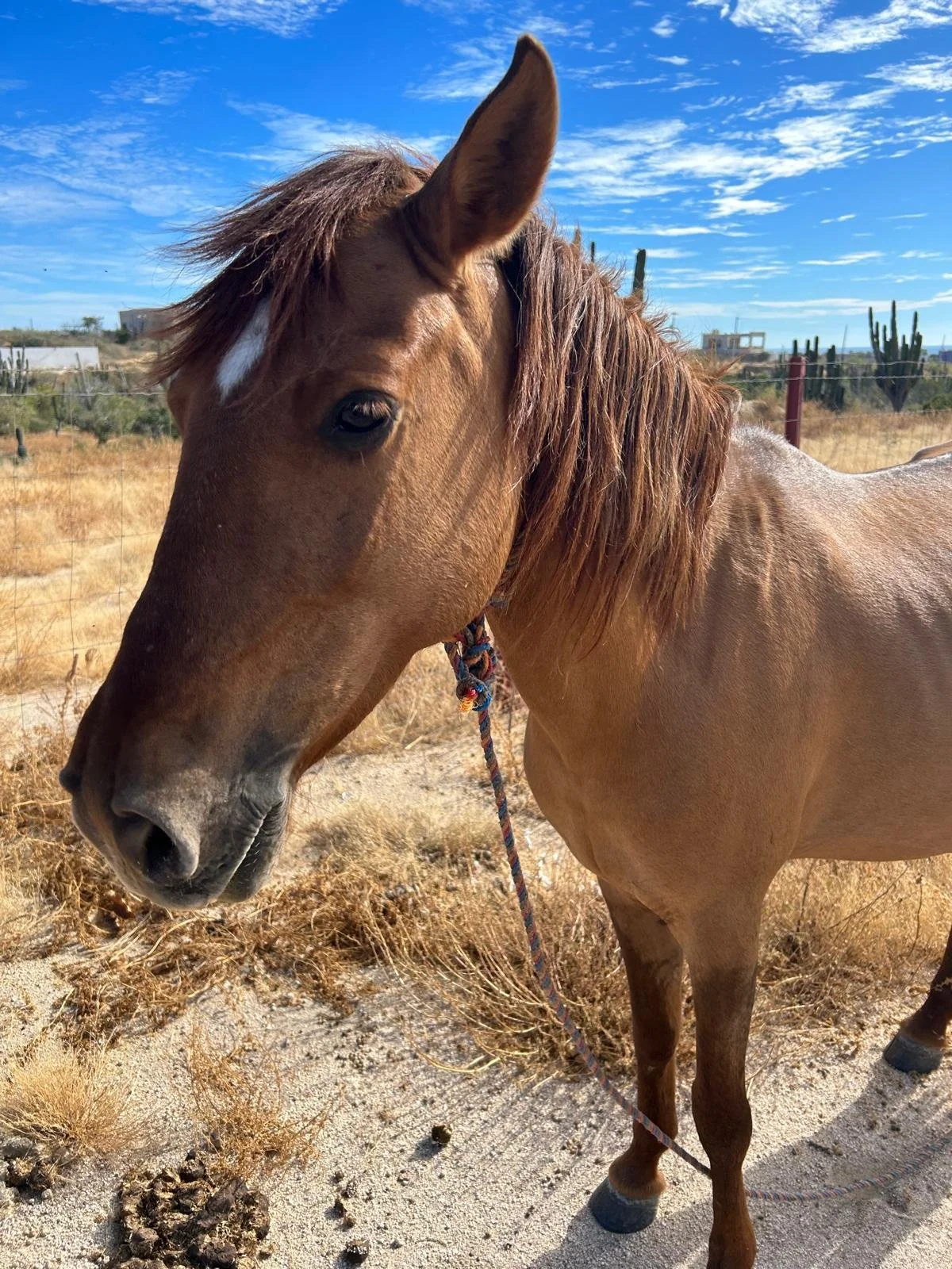 Q 4 2025: More Options, Better Prices: Why This Quarter Matters