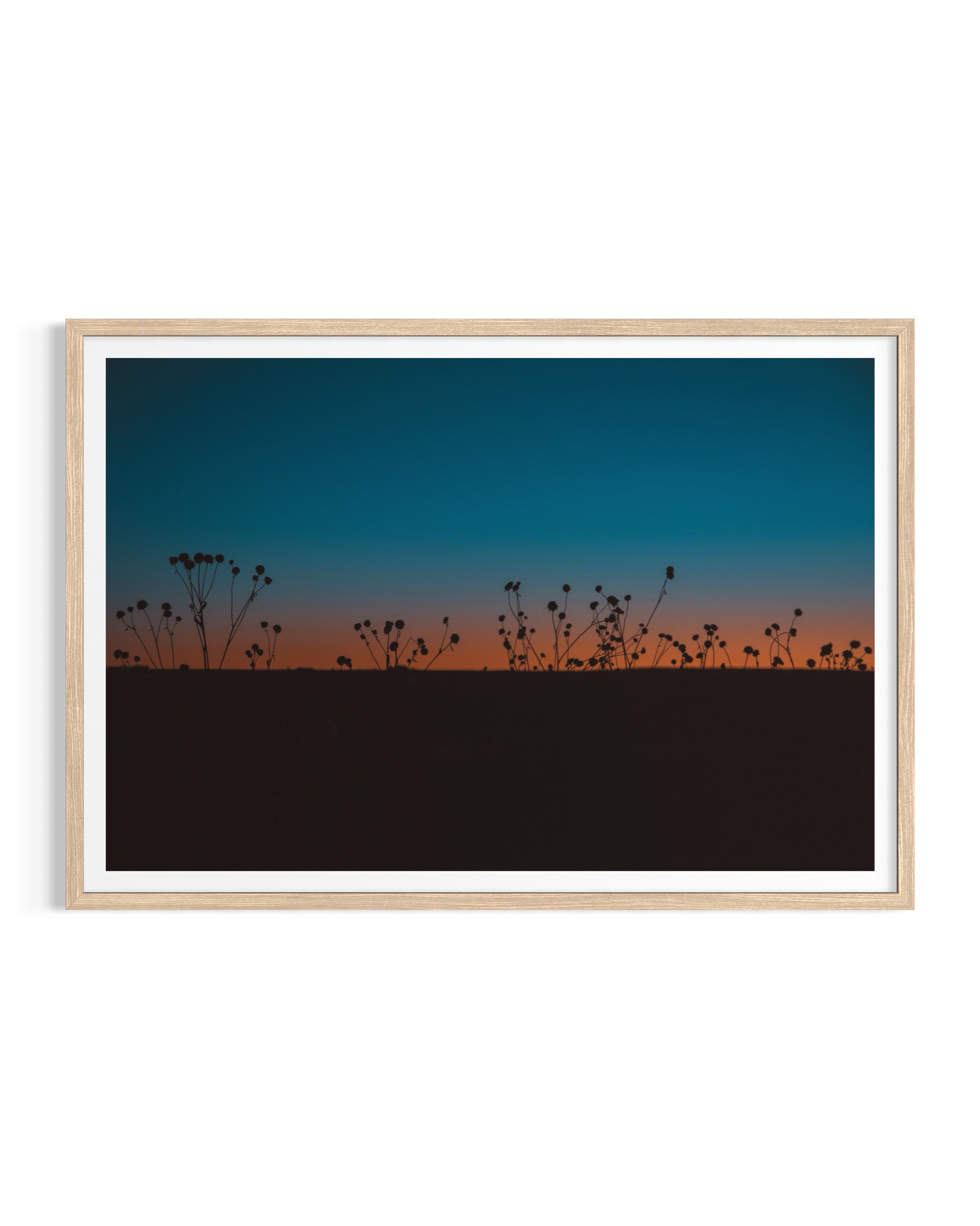 Sunset Dream - Taos