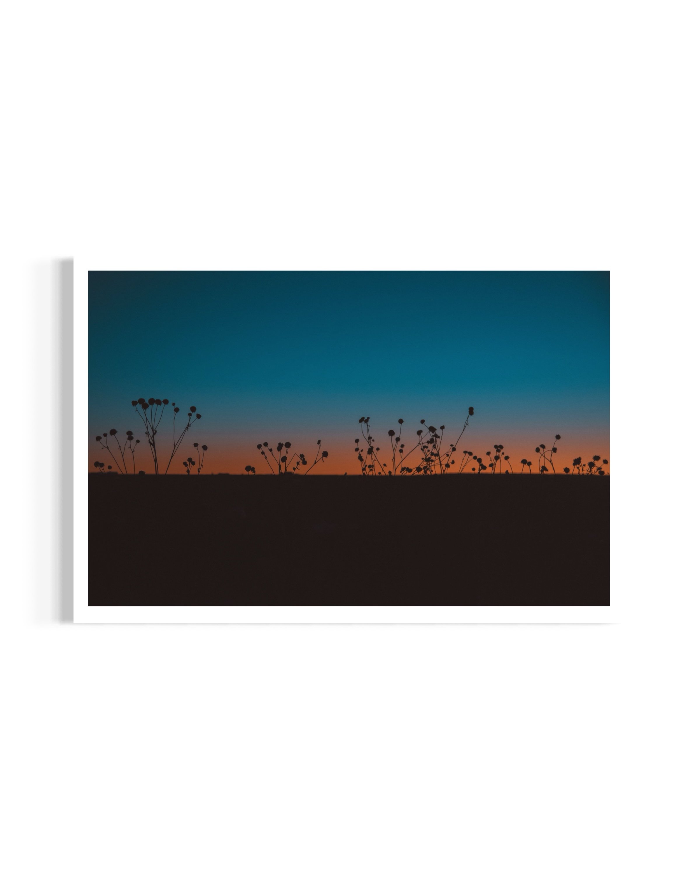 Sunset Dream - Taos