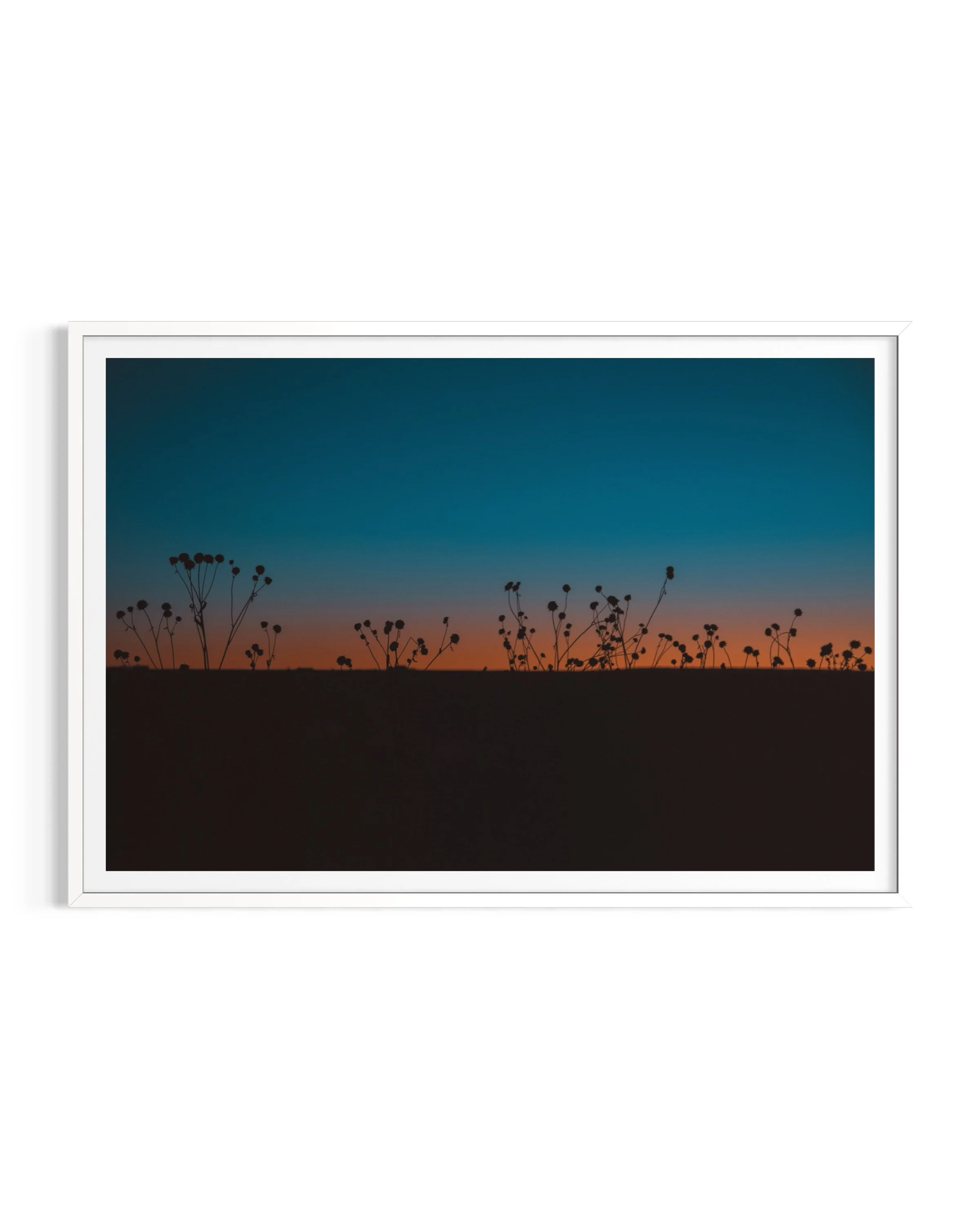 Sunset Dream - Taos