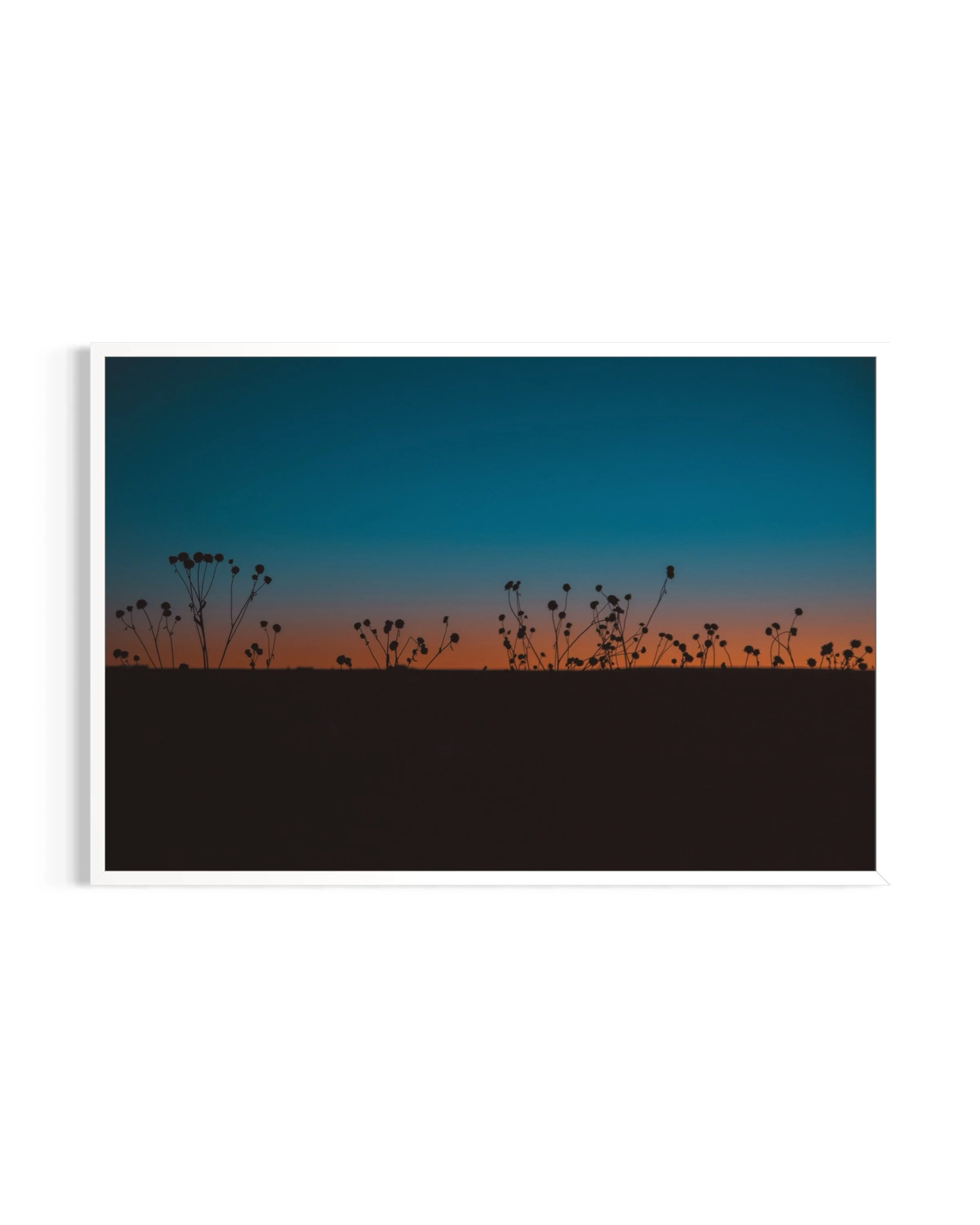 Sunset Dream - Taos