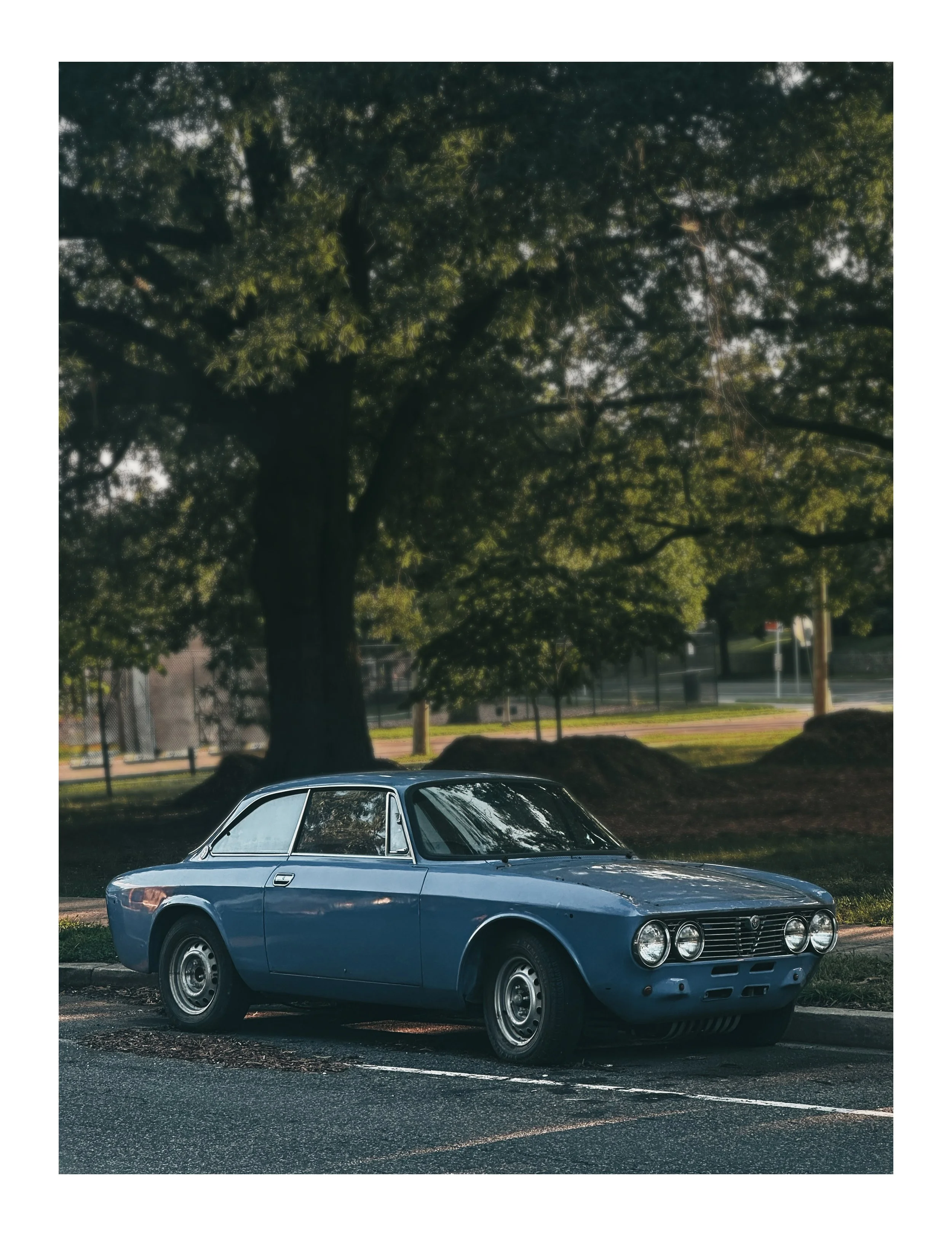 Blue_ 1 in Border.jpg