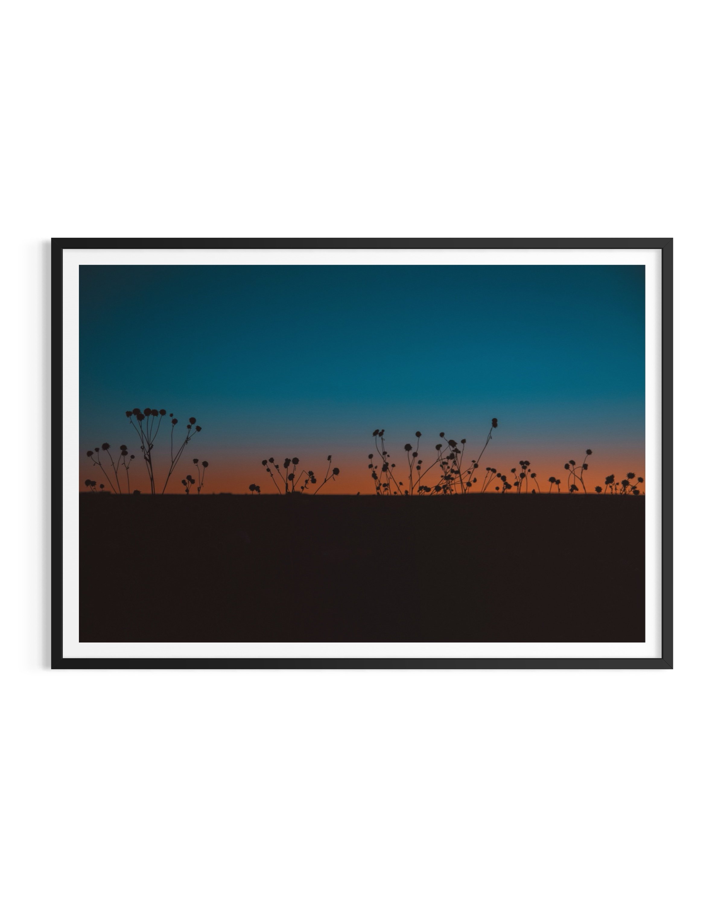 Sunset Dream - Taos