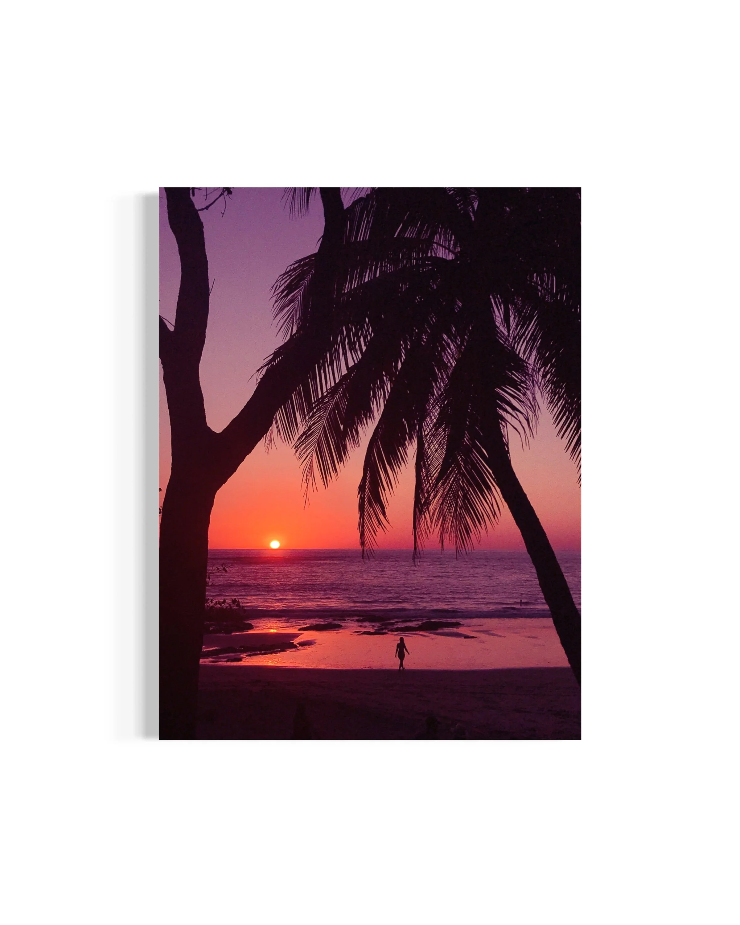 Sunset Dream - Costa Rica