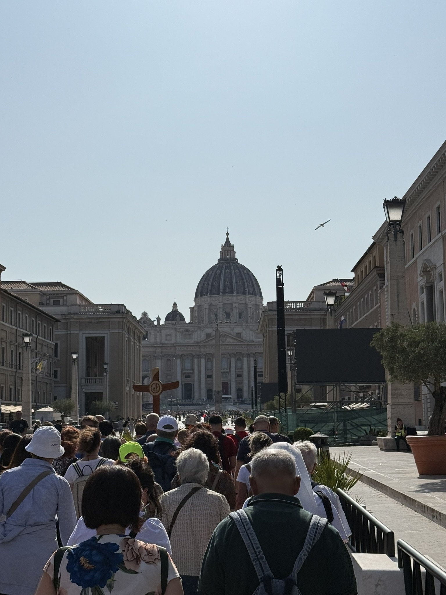 IMG_5249.JPEG