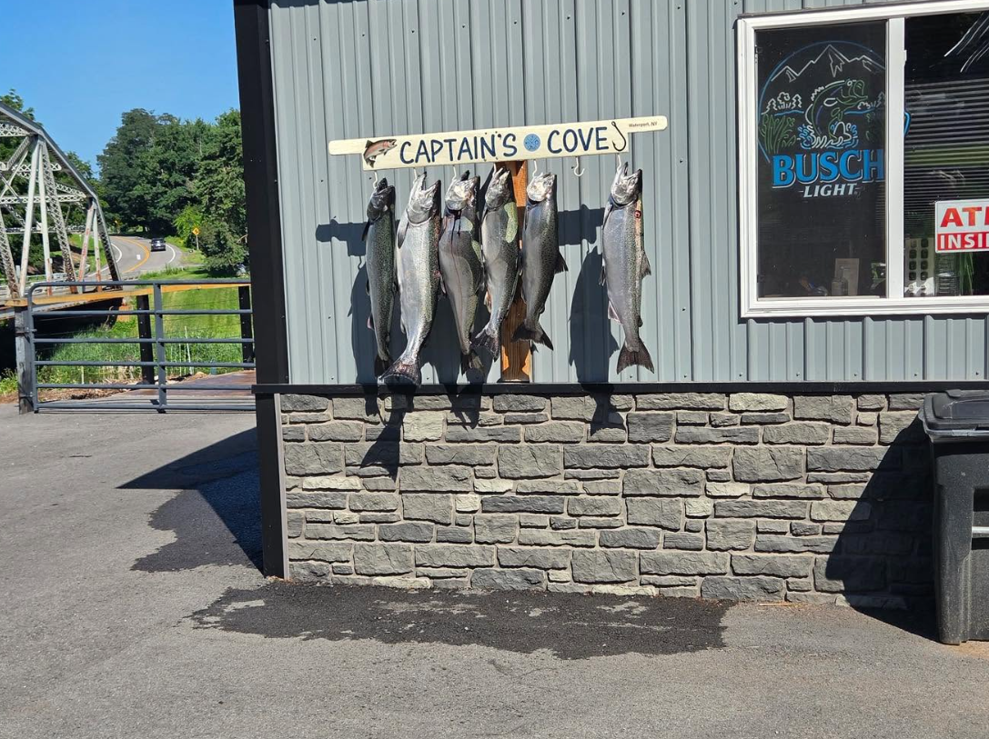 Captain's Cove is an official LOC Derby weigh-in station, listed on the leaderboard as Captain's Cove Resort, Waterport.