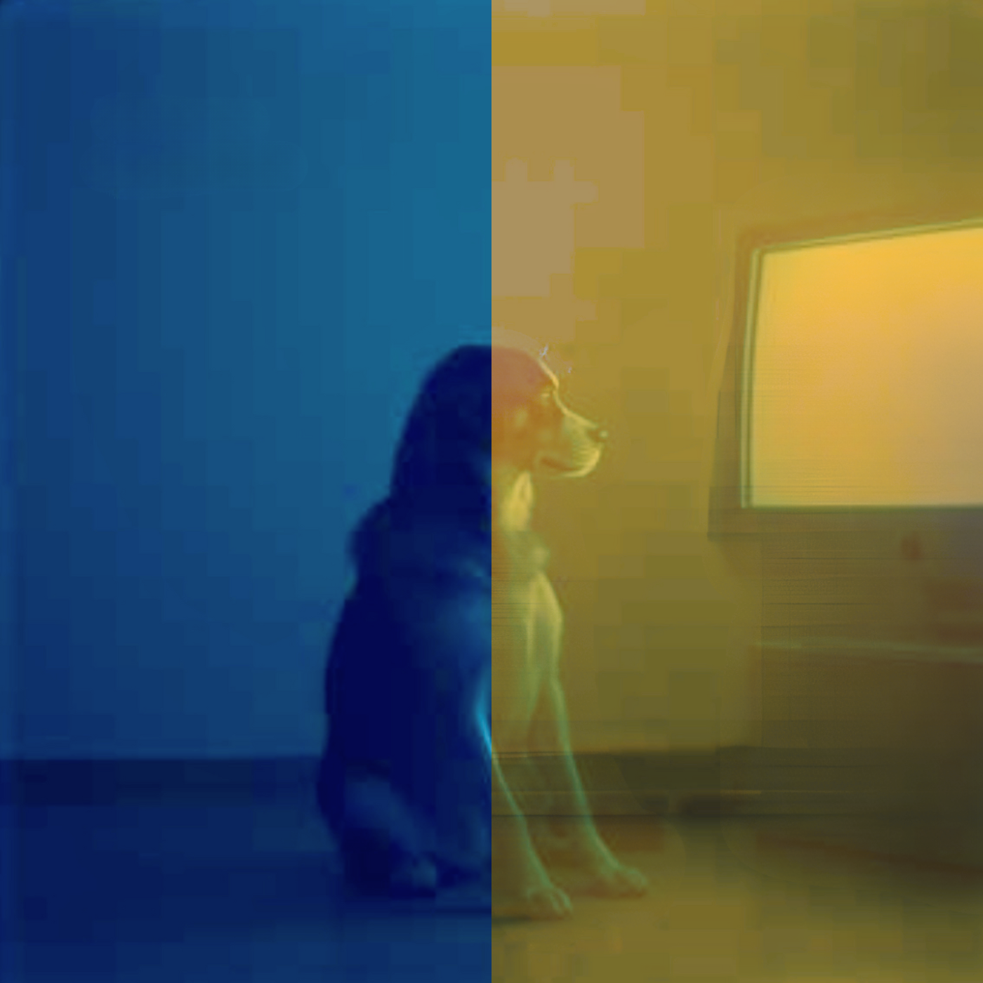 A dog sitting in front of a television which is turned on with a blank bright screen. The photo has a blue tint. Text on the image reads "FLUX HOUND end of data".