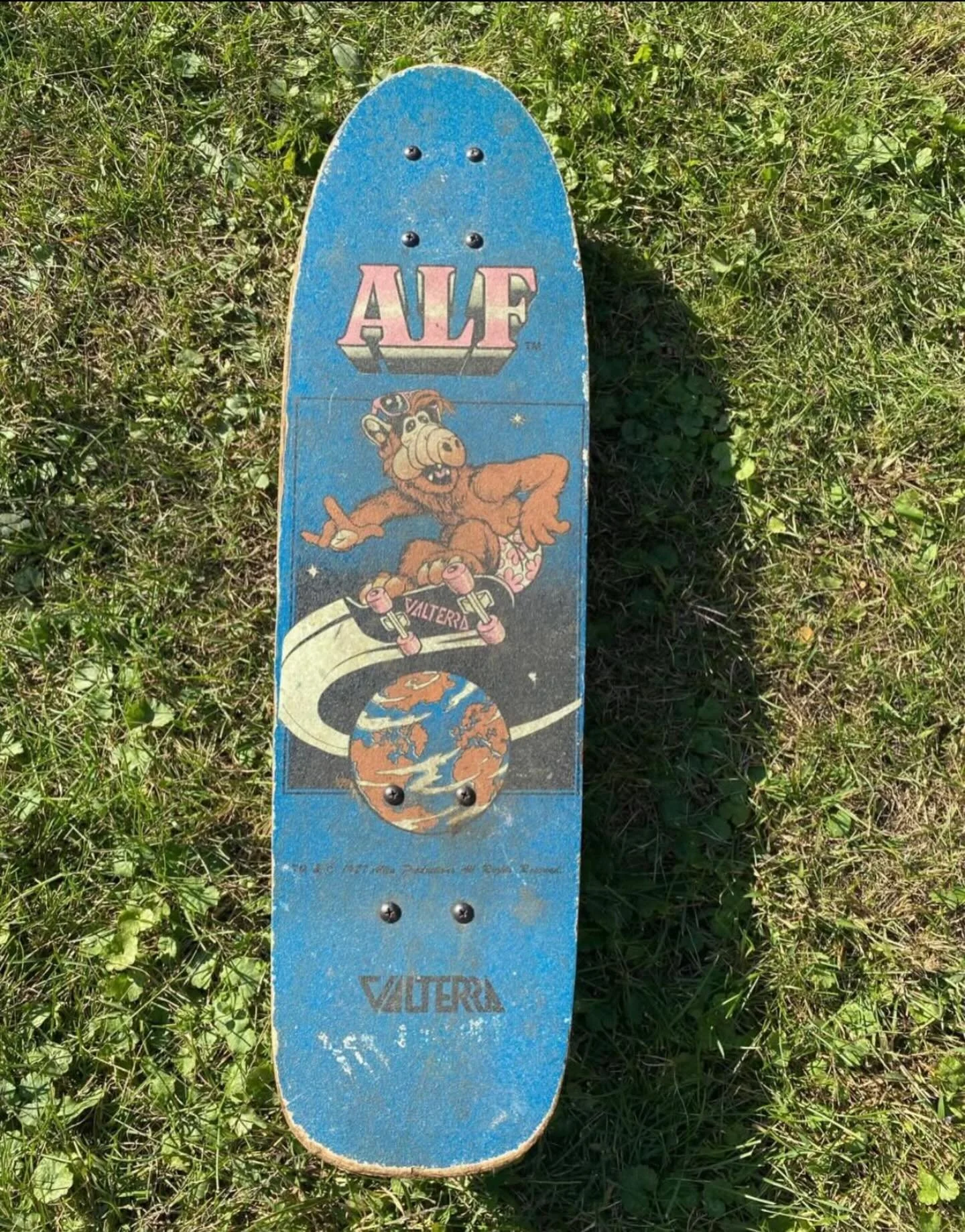What sweet awesomeness is this?!
#alf #skate #skateboard #1980s  #substatikrecordings