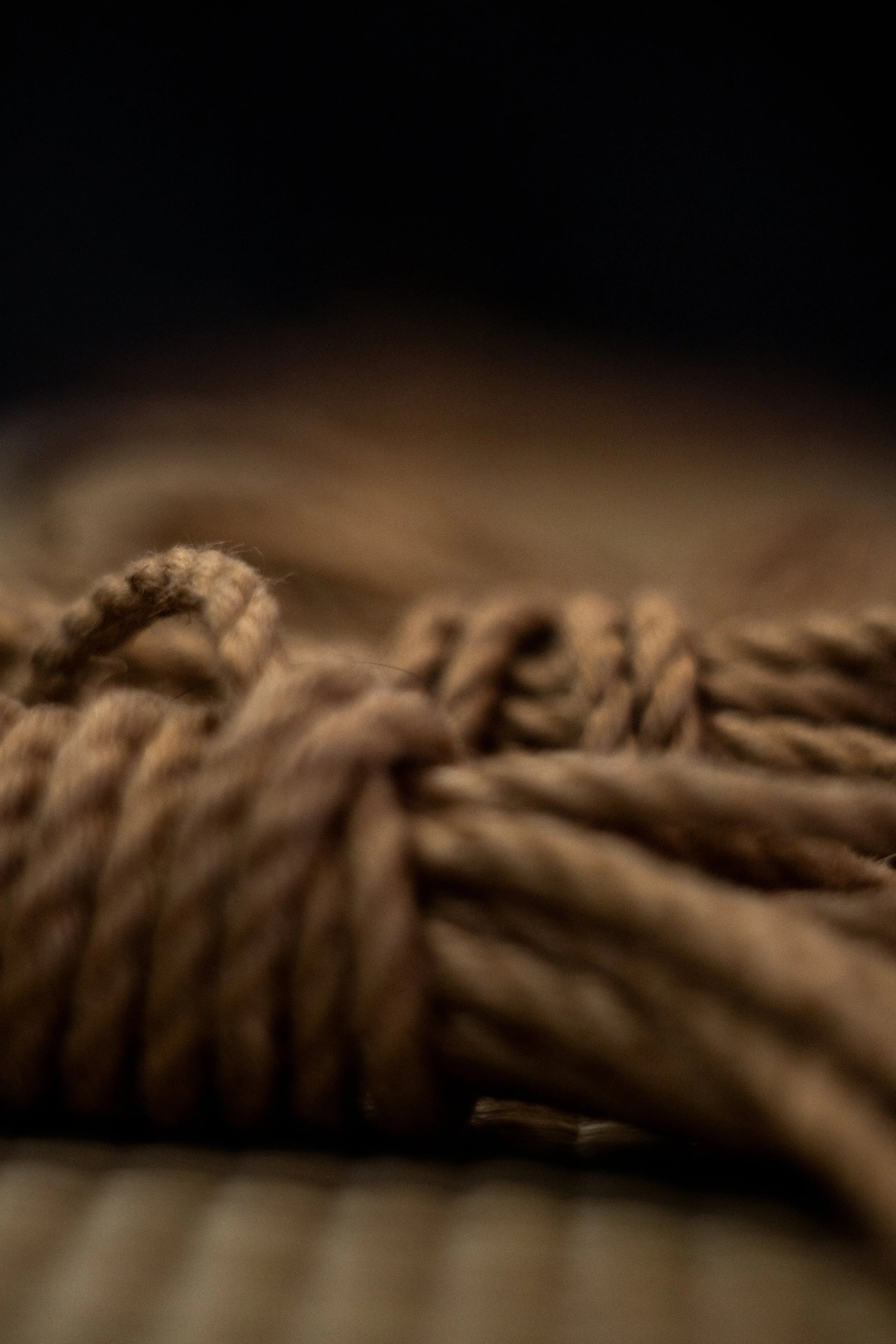 © Shibari Lounge – Community rope jam at an AuDHD-aware studio. Kinbaku workshop near London. Not for reproduction..jpg