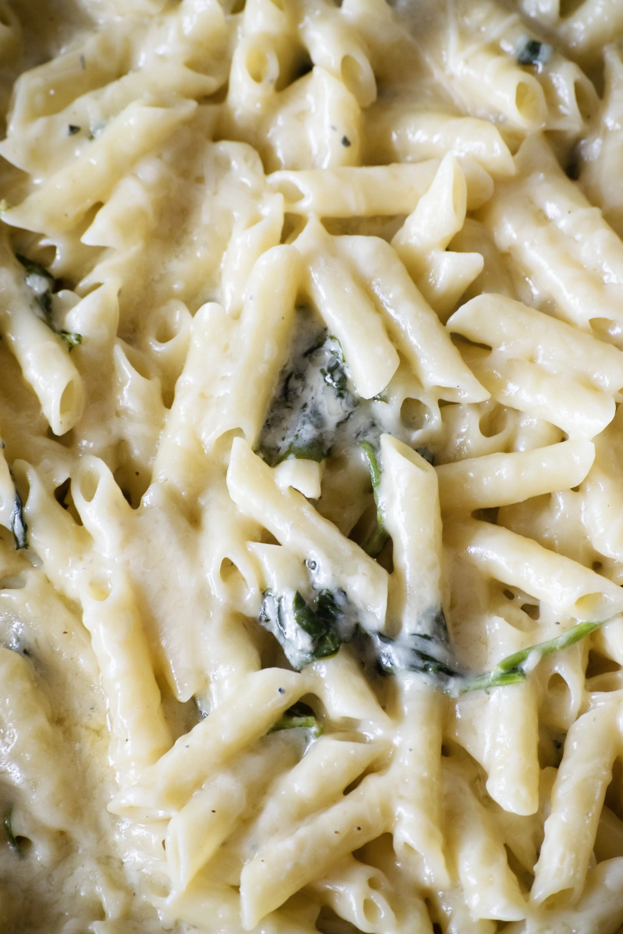 Broders' Catering Penne Cheese Gorgonzola Family Pan