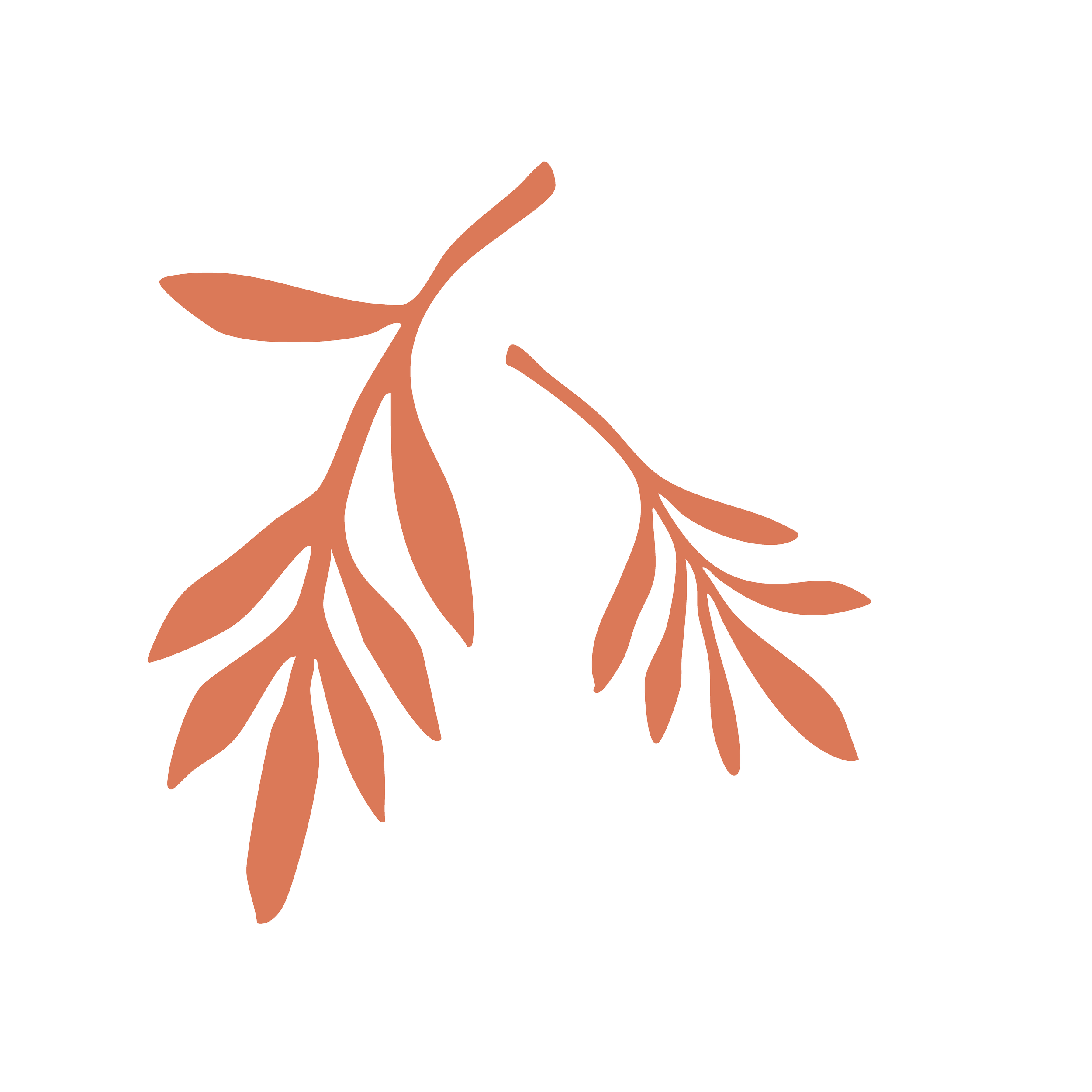 Simple illustration of a branch with leaves.
