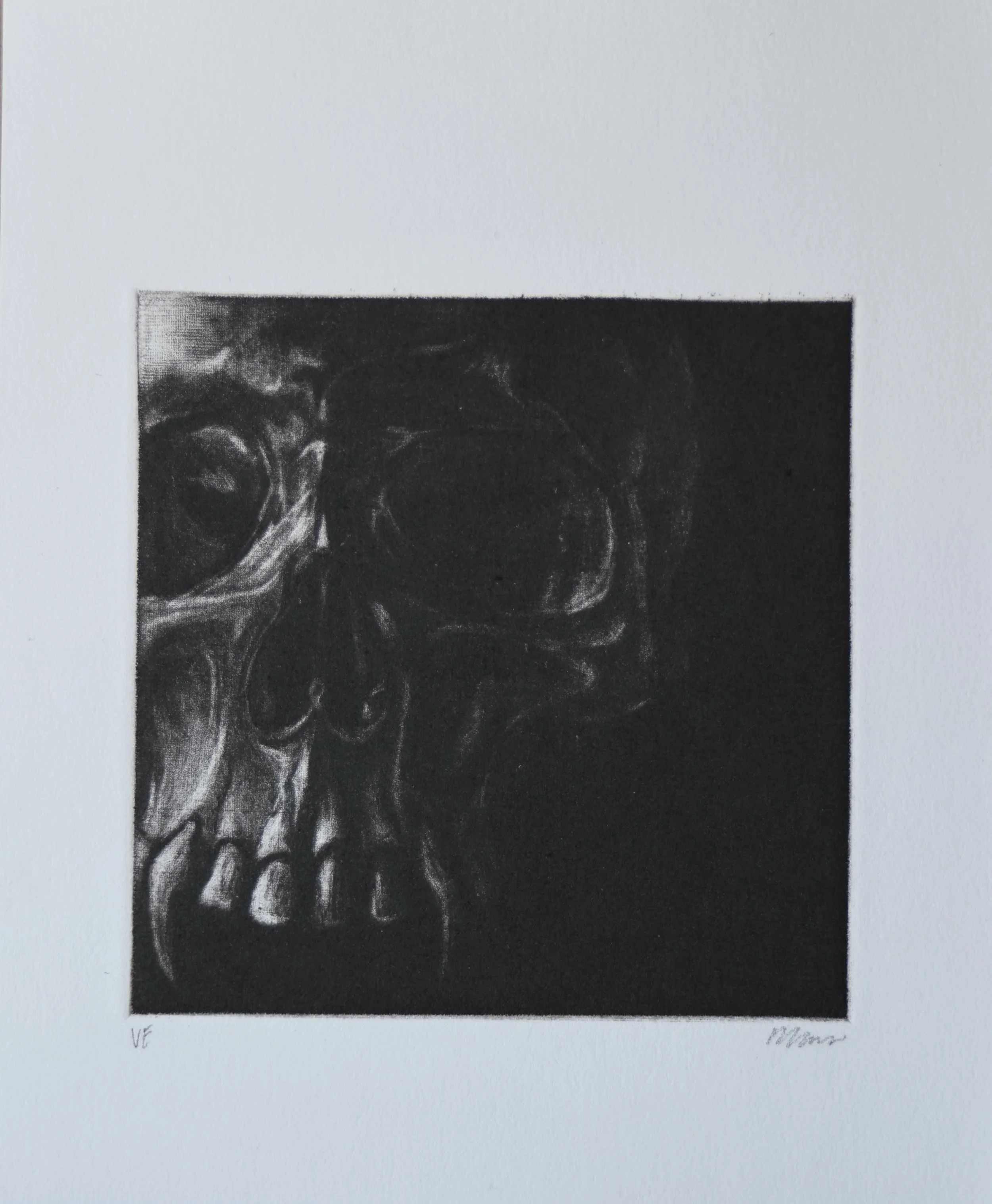 vampy skull mezzotint