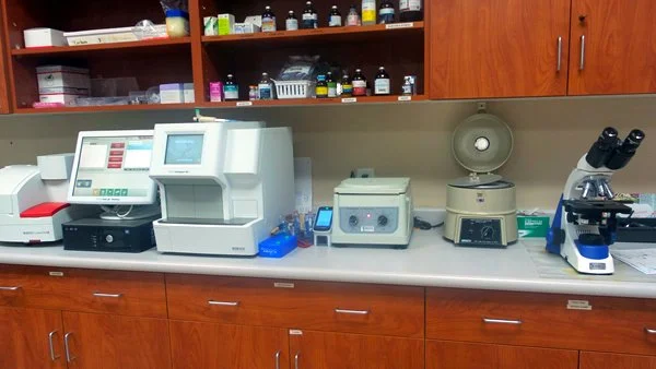 Veterinary diagnostic lab – Armstrong Pet Hospital Fresno Clovis