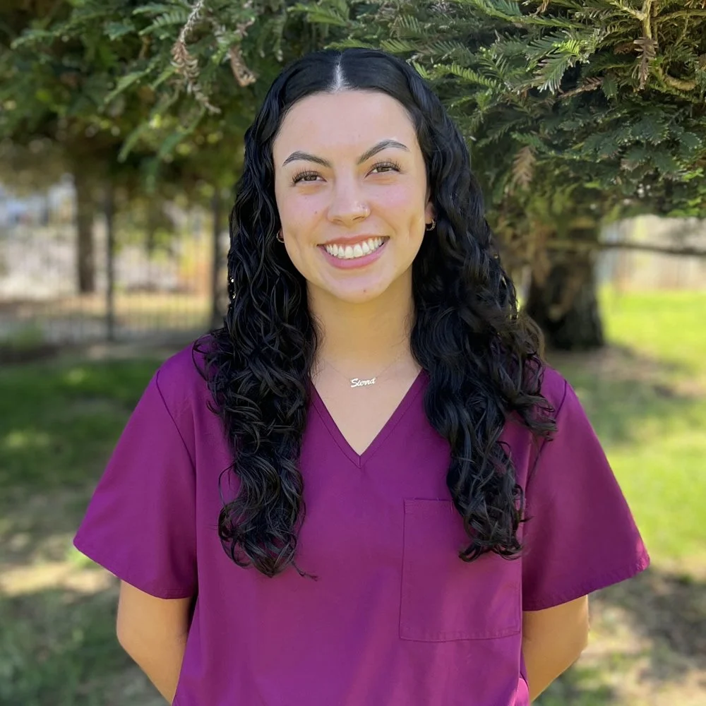 Sierra - Armstong Pet Hospital - Clovis, CA