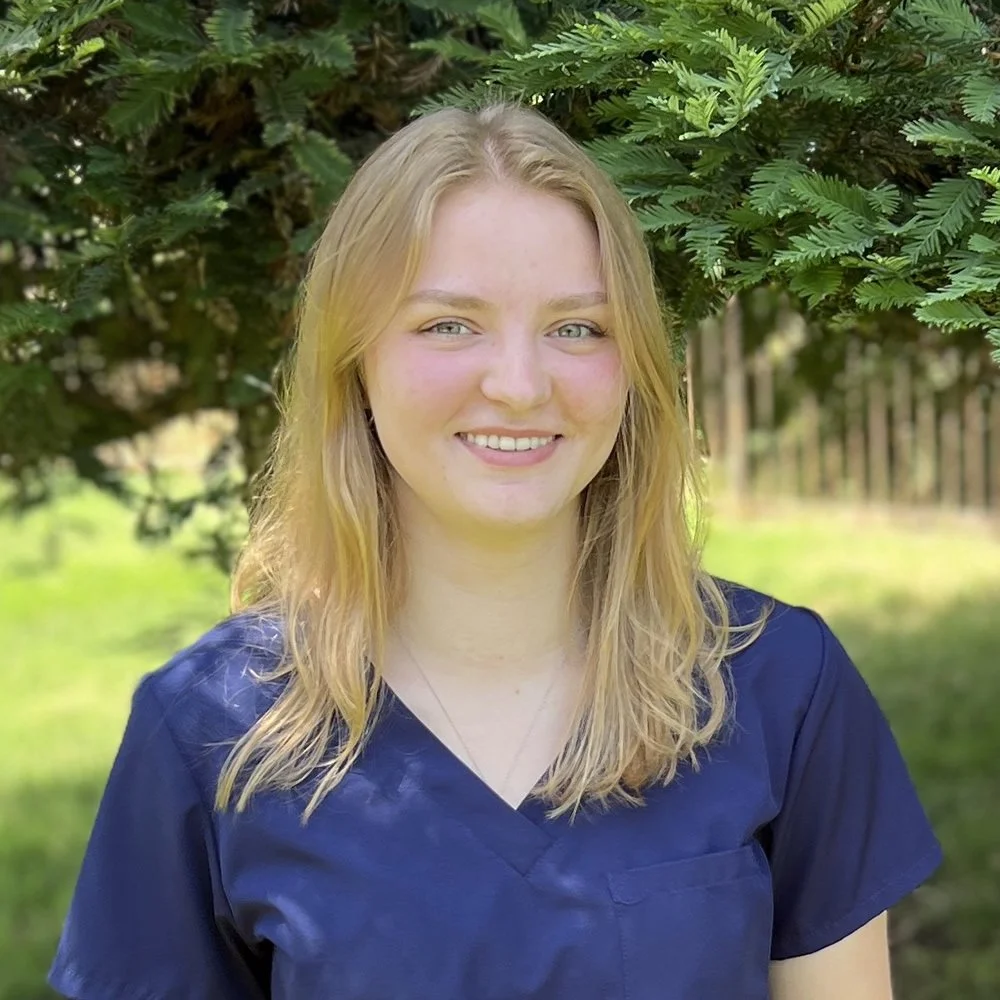 Kelsie - Armstrong Pet Hospital, Clovis, CA