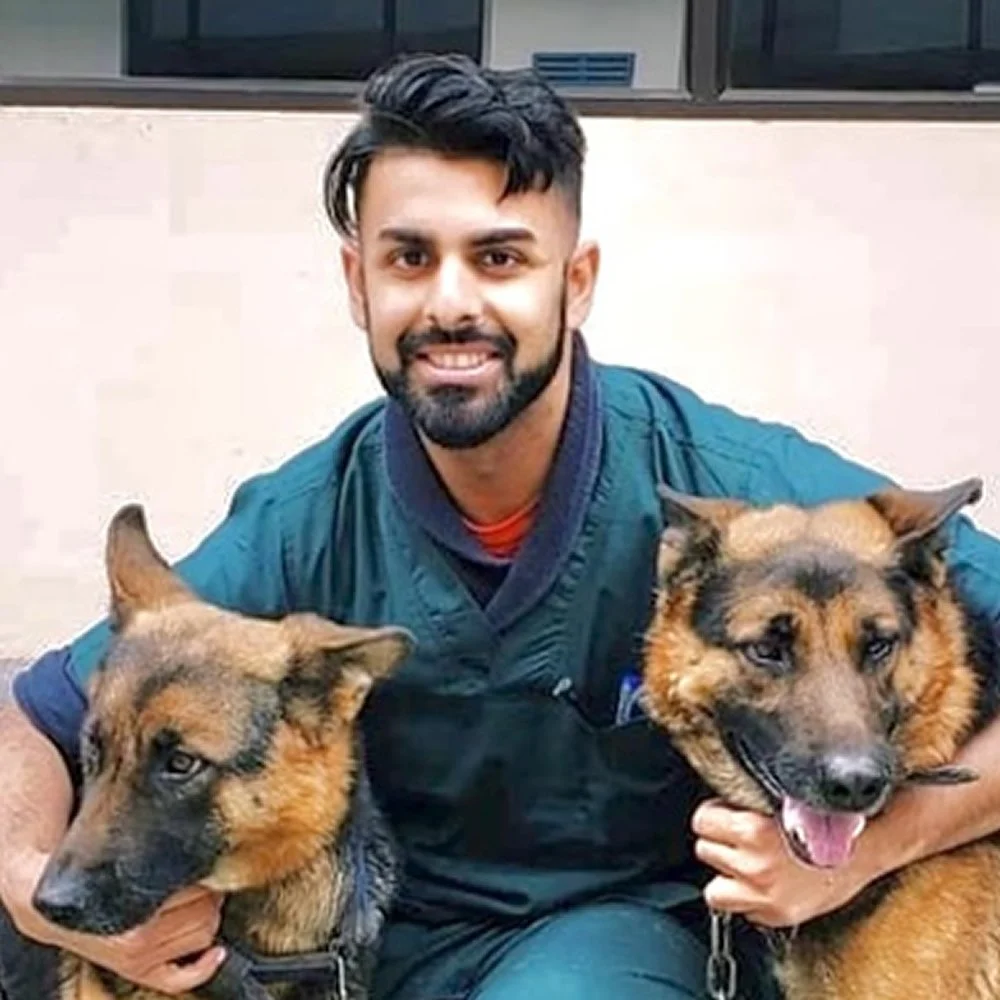 Dr. Raj - Armstong Pet Hospital - Clovis, CA