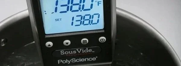 Poly Science Sous Vide
