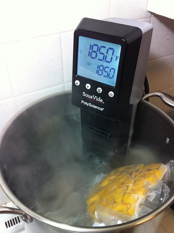 PolyScience SousVide in context.jpg