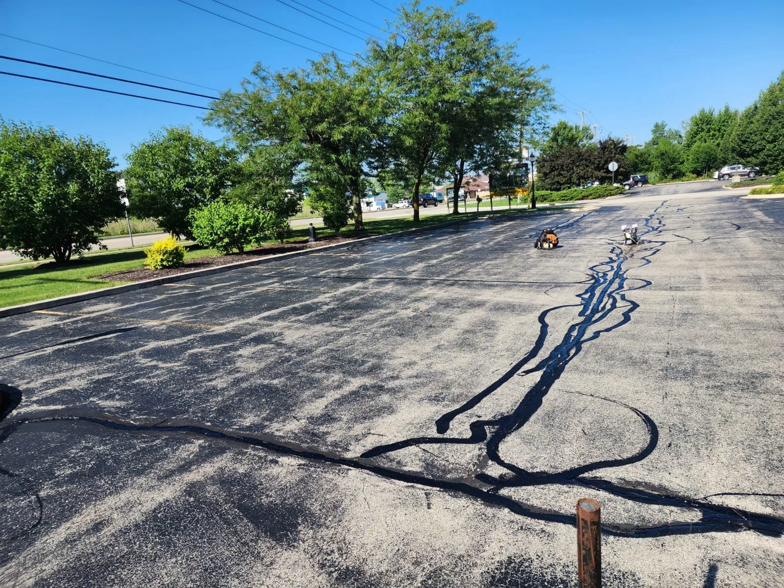 Asphalt parking lot with sealed cracks, surrounded by trees and greenery on a sunny day.