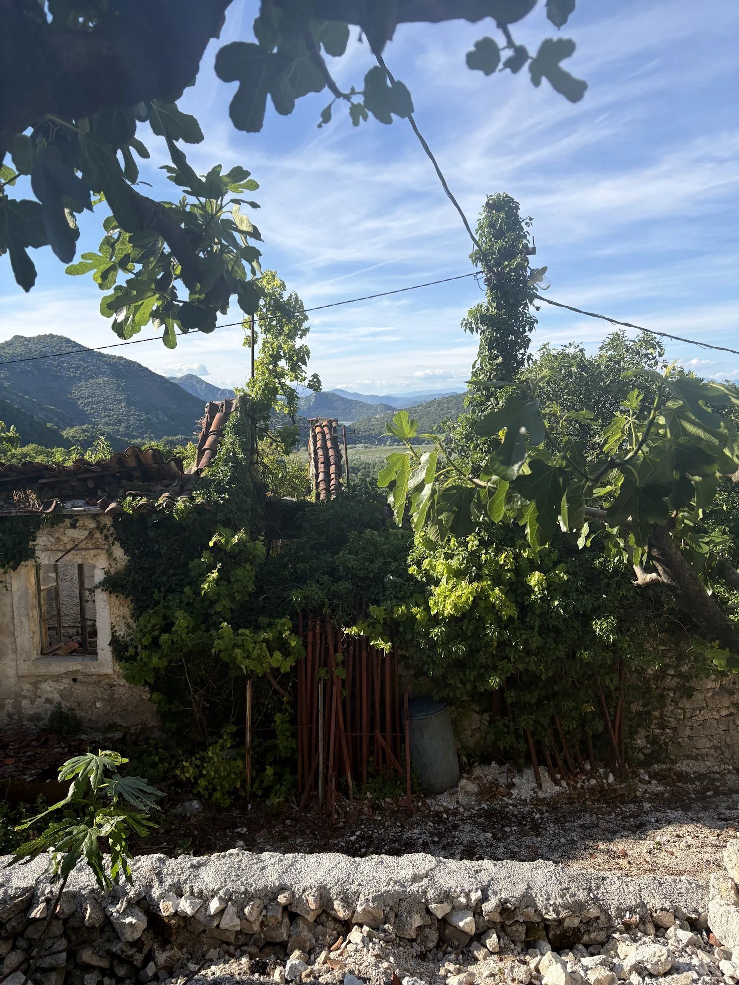 winery.jpg