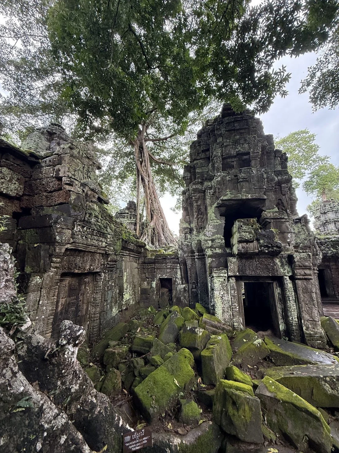 temple.jpg