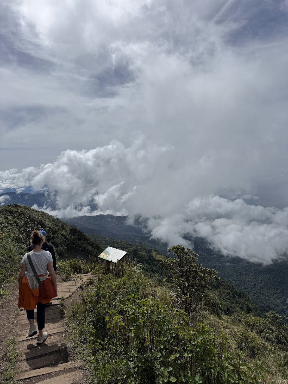 hike.jpg