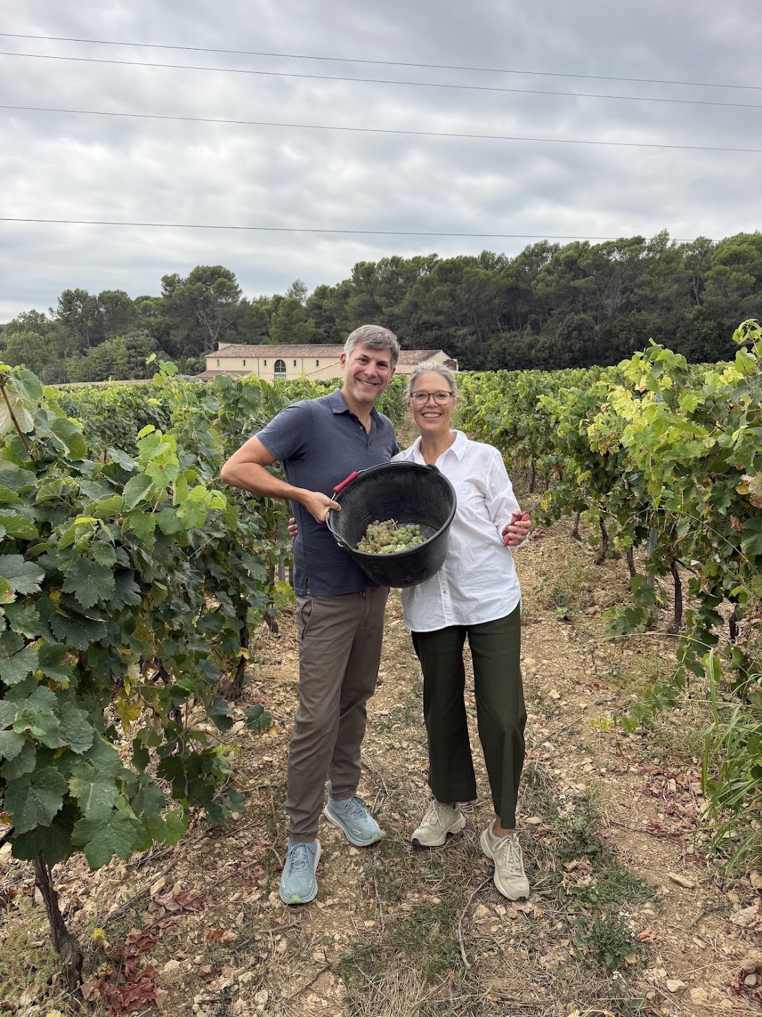 Provence by Road: Markets, Picnics, and One Very Serious Truffle Dog