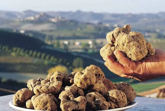 The White Truffle Rule That Changes How You Eat One