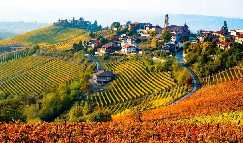 Piedmont in October: Where to Base Yourself