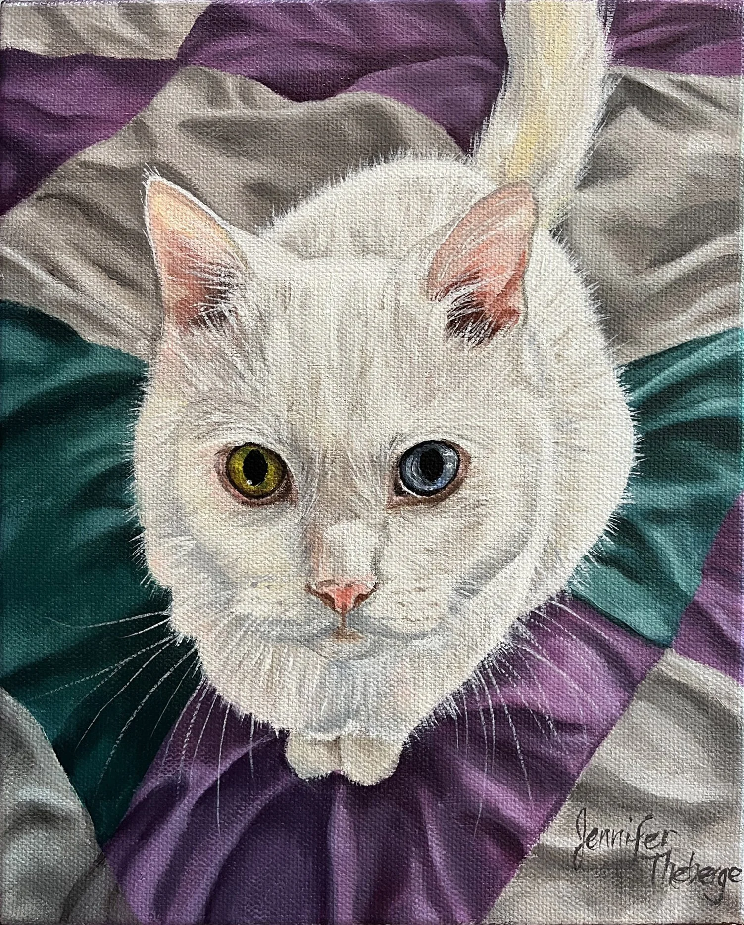 White Bi-color eyed cat