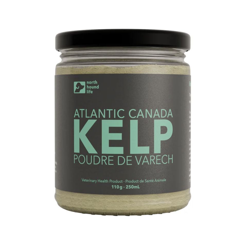 North Hound Life | Atlantic Canada Kelp
