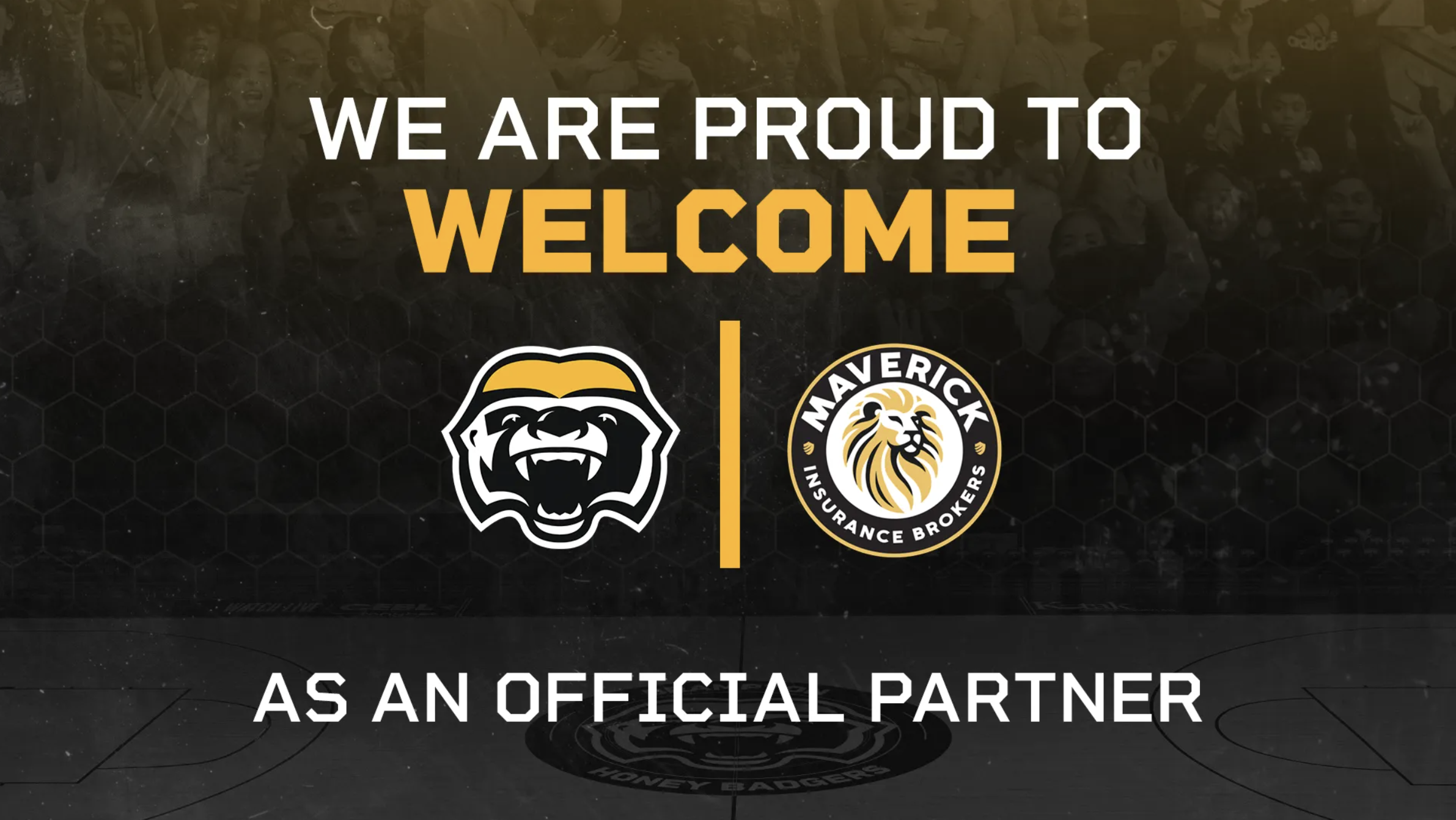 Maverick Insurance Brokers Joins the Brampton Honey Badgers as an Official Partner