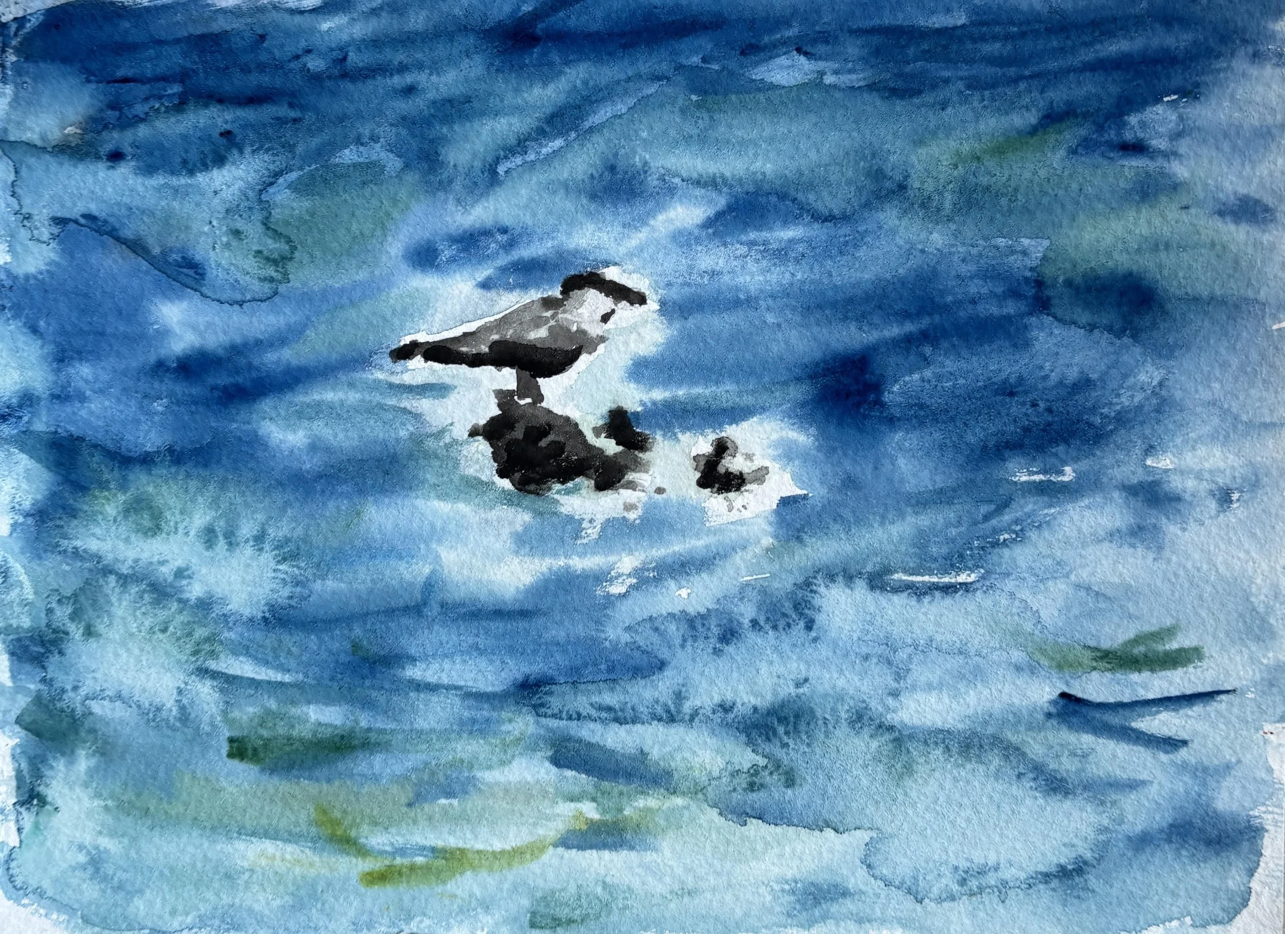 Watercolor painting of a seagull standing on black rocks in the ocean, with blue, green, and white waves.