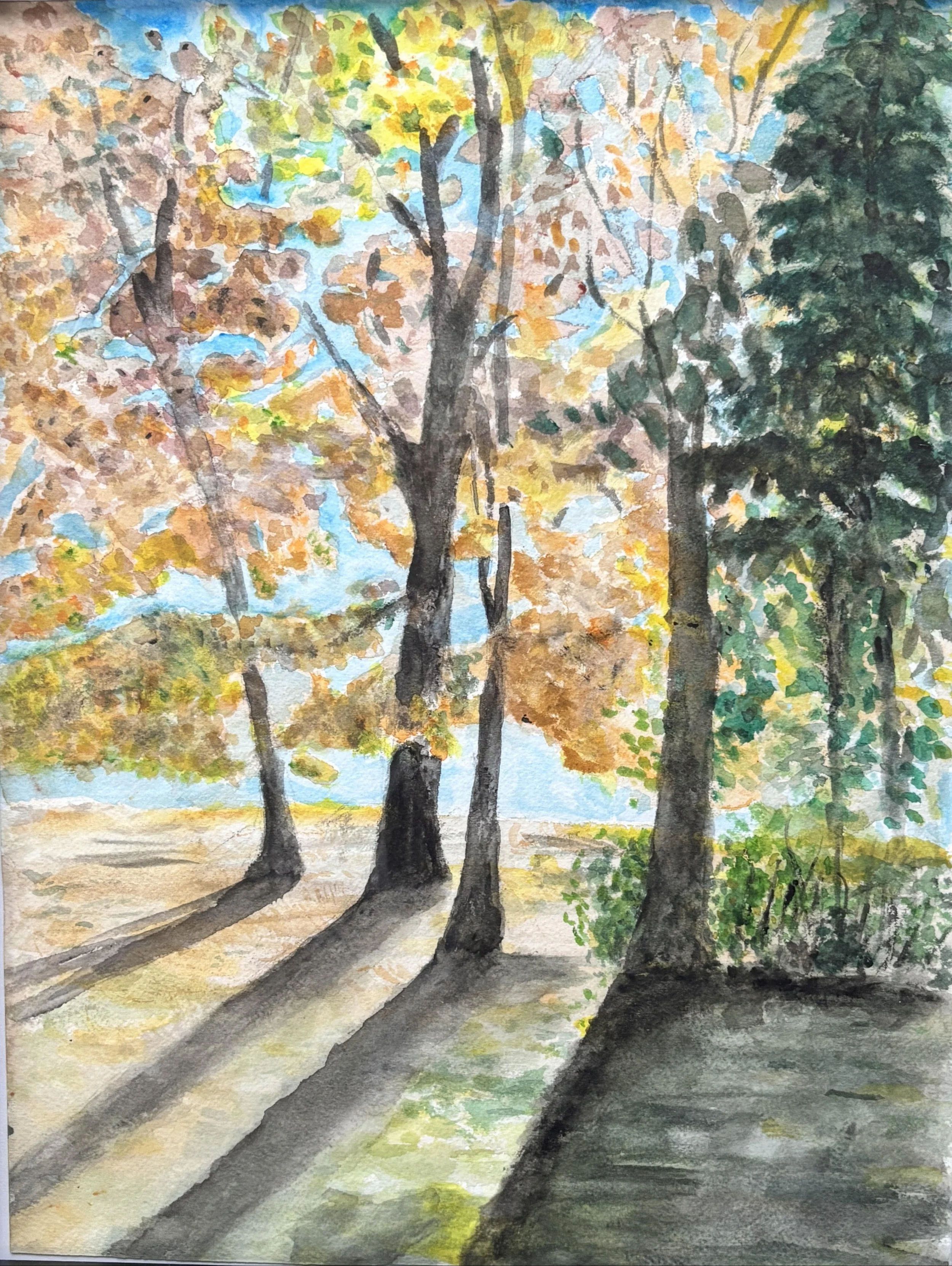 A watercolor painting of a park scene with three trees casting long shadows on the ground, with autumn-colored leaves and a blue sky.