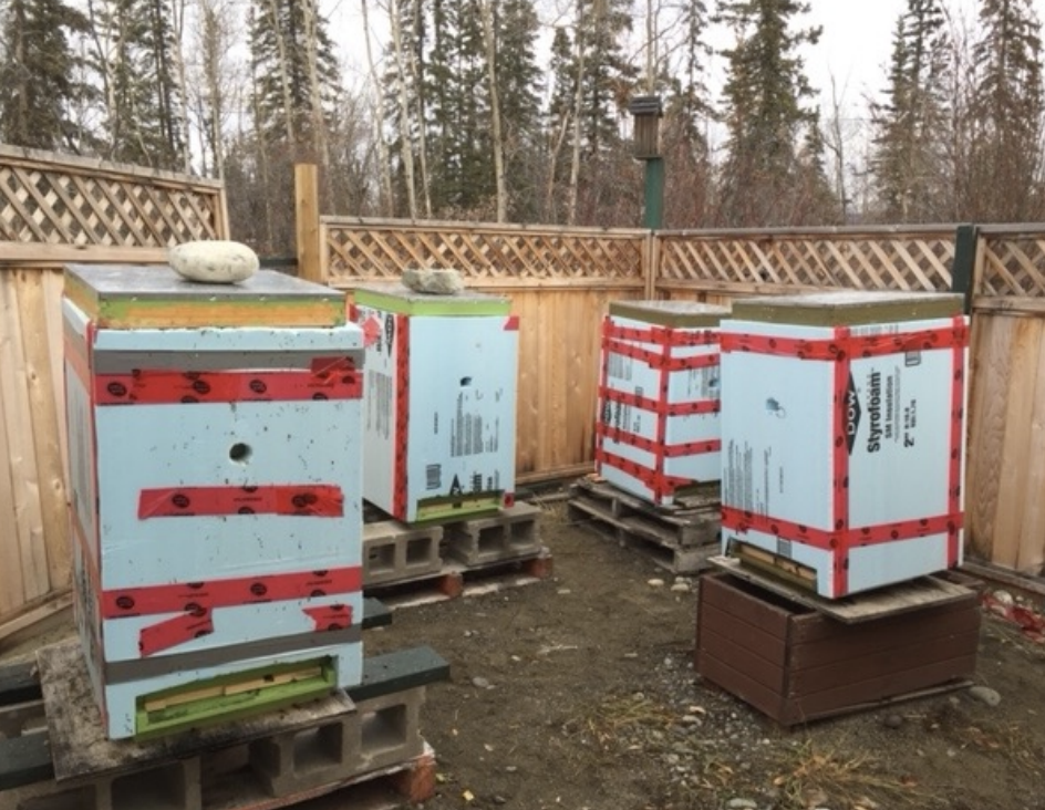 Winterize Your Hives