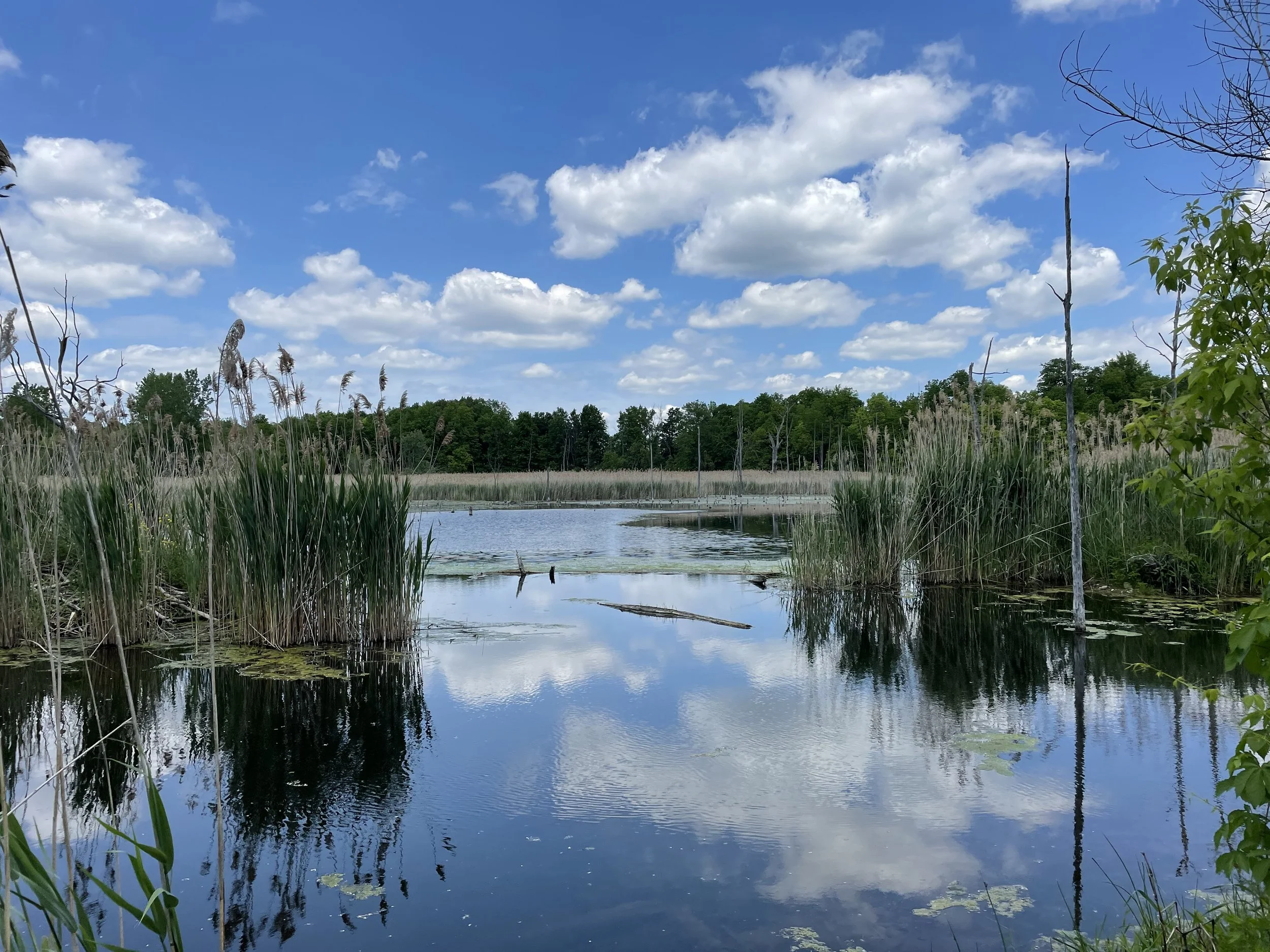 Lake placid NY bike path