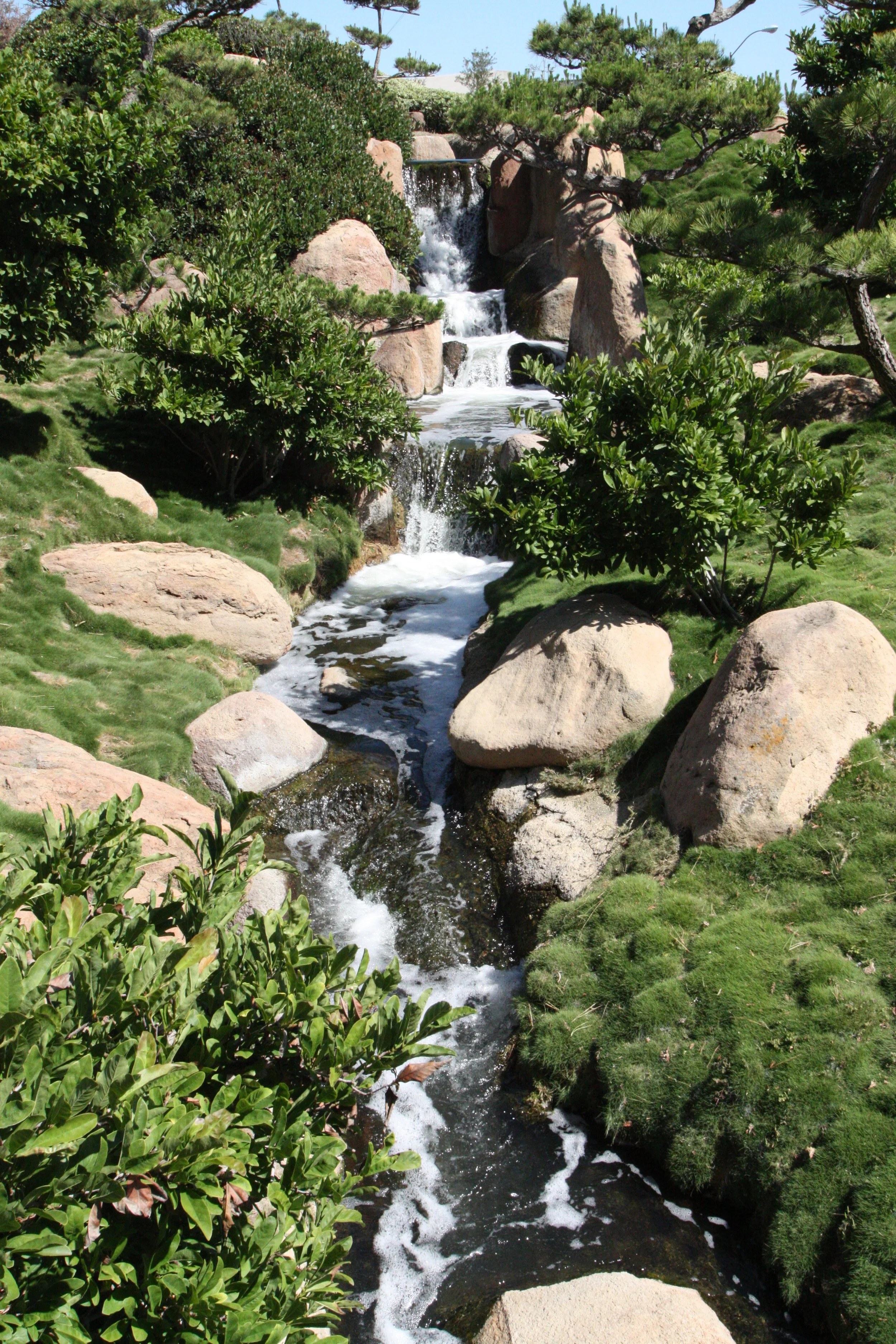 Japanese garden LA California