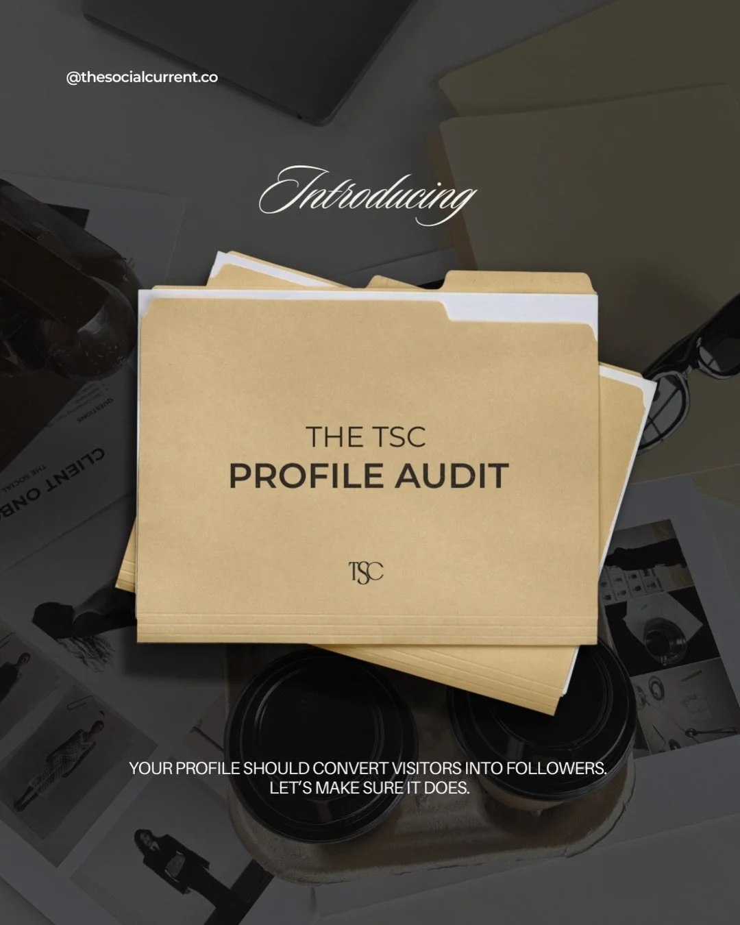 Introducing our second new strategy service 🔍

If you&rsquo;re not seeing the growth you expected, this audit will help point you in the right direction! We created the TSC Profile Audit to help brands understand EXACTLY what&rsquo;s helping and hur