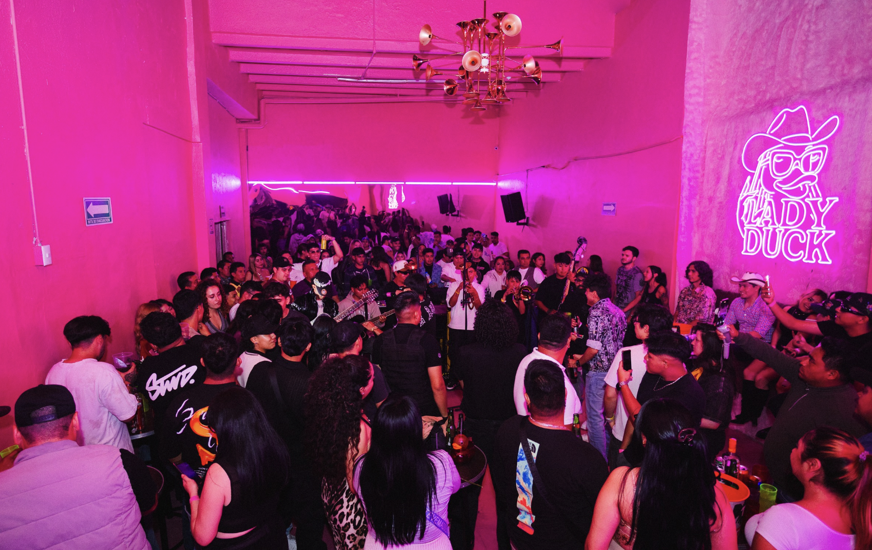 LADY DUCK REGIONAL CORRIDOS TUMBADOS