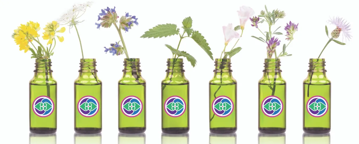 The Truth About "Therapeutic Grade" Essential Oils
